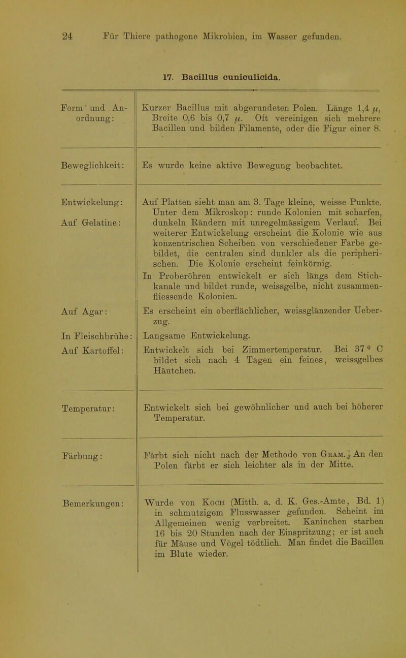 17. Bacillus cuniculicida. Form' und An- ordnung : Kurzer Bacillus mit abgerundeten Polen. Länge 1,4 /j., Breite 0,6 bis 0,7 [i. Oft vereinigen sich mehrere Bacillen und bilden Filamente, oder die Figur einer 8. Beweglichkeit: Es wurde keine aktive Bewegung beobachtet. Entwickelung: Auf Platten sieht man am 3. Tage kleine, weisse Punkte. Unter dem Mikroskop: runde Kolonien mit scharfen, Auf Gelatine: dunkeln Rändern mit unregelmässigem Verlauf. Bei weiterer Entwickelung erscheint die Kolonie wie aus konzentrischen Scheiben von verschiedener Farbe ge- bildet, die centralen sind dunkler als die peripheri- schen. Die Kolonie erscheint feinkörnig. In Proberöhren entwickelt er sich längs dem Stich- kanale und bildet runde, weissgelbe, nicht zusammen- fliessende Kolonien. Auf Agar: Es erscheint ein oberflächlicher, weissglänzender Ueber- zug. In Fleischbrühe: Langsame Entwickelung. Auf Kartoffel: Entwickelt sich bei Zimmertemperatur. Bei 37 0 C bildet sich nach 4 Tagen ein feines, weissgelbes Häutchen. Temperatur: Entwickelt sich bei gewöhnlicher und auch bei höherer Temperatur. Färbung: Färbt sich nicht nach der Methode von Gbam.^ An den Polen färbt er sich leichter als in der Mitte. Bemerkungen: Wurde von Koch (Mitth. a. d. K. Ges.-Amte, Bd. 1) in schmutzigem Flusswasser gefunden. Scheint im Allgemeinen wenig verbreitet. Kaninchen starben 16 bis 20 Stunden nach der Einspritzung; er ist auch für Mäuse und Vögel tödtlich. Man findet die Bacillen im Blute wieder.