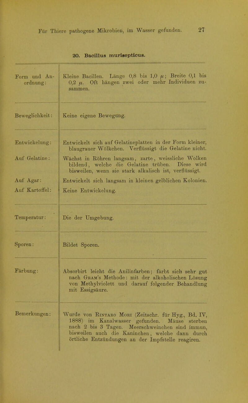 20. Bacillus murisepticus. Form und An- ordnung : Kleine Bacillen. Länge 0,8 bis 1,0 fi; Breite 0,1 bis 0,2 fi. Oft hängen zwei oder mehr Individuen zu- sammen. Beweglichkeit: Keine eigene Bewegung. Entwickelung: Entwickelt sich auf Gelatineplatten in der Form kleiner, blaugrauer Wölkchen. Verflüssigt die Gelatine nicht. Auf Gelatine: Wächst in Röhren langsam, zarte, weissliche Wolken bildend, welche die Gelatine trüben. Diese wird bisweilen, wenn sie stark alkalisch ist, verflüssigt. Auf Agar: Entwickelt sich langsam in kleinen gelblichen Kolonien. Auf Kartoffel: Keine Entwickelung. Temperatur: Die der Umgebung. Sporen: Bildet Sporen. Färbung: Absorbirt leicht die Anilinfarben; färbt sich sehr gut nach Gram’s Methode: mit der alkoholischen Lösung von Methylviolett und darauf folgender Behandlung mit Essigsäure. Bemerkungen: Wurde von Rintaro Mori (Zeitschr. für Hyg., Bd. IV, 1888) im Kanalwasser gefunden. Mäuse sterben nach 2 bis 3 Tagen. Meerschweinchen sind immun, bisweilen auch die Kaninchen, welche dann durch örtliche Entzündungen an der Impfstelle reagiren.