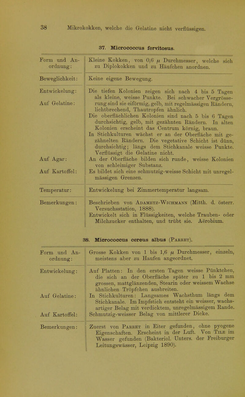 37. Micrococcus fervitosus. Form und An- ordnung : Kleine Kokken, von 0,6 /n Durchmesser, welche sich zu Diplokokken und zu Häufchen anordnen. Beweglichkeit: Keine eigene Bewegung. Entwickelung: Die tiefen Kolonien zeigen sich nach 4 bis 5 Tagen als kleine, weisse Punkte. Bei schwacher Vergrösse- Auf Gelatine: rung sind sie eiförmig, gelb, mit regelmässigen Rändern, lichtbrechend, Thautropfen ähnlich. Die oberflächlichen Kolonien sind nach 5 bis 6 Tagen durchsichtig, gelb, mit gezähnten Rändern. In alten Kolonien erscheint das Centrum körnig, braun. In Stichkulturen wächst er an der Oberfläche mit ge- zähnelten Rändern. Die vegetative Schicht ist dünn, durchsichtig; längs dem Stichkanale weisse Punkte. Verflüssigt die Gelatine nicht. Auf Agar: An der Oberfläche bilden sich runde, weisse Kolonien von schleimiger Substanz. Auf Kartoffel: Es bildet sich eine schmutzig-weisse Schicht mit unregel- mässigen Grenzen. Temperatur: Entwickelung bei Zimmertemperatur langsam. Bemerkungen: Beschrieben von Adametz-Wichmann (Mitth. d. österr. Versuchsstation, 1888). Entwickelt sich in Flüssigkeiten, welche Trauben- oder Milchzucker enthalten, und trübt sie. Aerobium. 38. Micrococcus cereus albus (Pareet). Form und An- ordnung : Grosse Kokken von 1 bis 1,6 /x Durchmesser, einzeln, meistens aber zu Haufen angeordnet. Entwickelung: Auf Platten: In den ersten Tagen weisse Pünktchen, die sich an der Oberfläche später zu 1 bis 2 mm grossen, mattglänzenden, Stearin oder weissem Wachse Auf Gelatine: ähnlichen Tröpfchen ausbreiten. In Stichkulturen: Langsames Wachsthum längs dem Stichkanale. Im Impfstich entsteht ein weisser, wachs- artiger Belag mit verdicktem, unregelmässigem Rande. Auf Kartoffel: Schmutzig-weisser Belag von mittlerer Dicke. Bemerkungen: Zuerst von Pareet in Eiter gefunden, ohne pyogene Eigenschaften. Erscheint in der Luft. Vou Tile im Wasser gefunden (Bakteriol. Unters, der Freiburger Leitungswässer, Leipzig 1890).