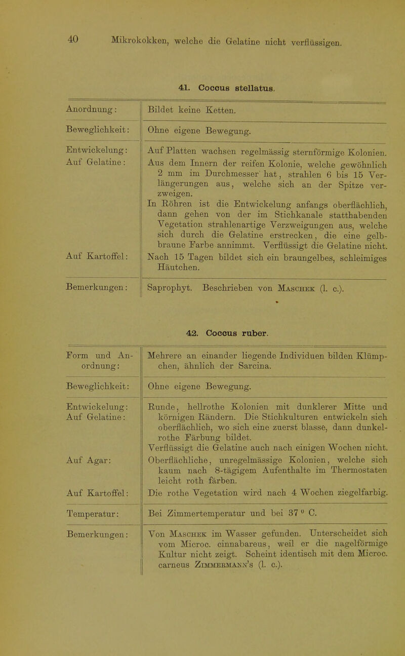 41. Cocous stellatus. Anordnung: Bildet keine Ketten. Beweglichkeit: Ohne eigene Bewegung. Entwickelung: Auf Gelatine: Auf Platten wachsen regelmässig sternförmige Kolonien. Aus dem Innern der reifen Kolonie, welche gewöhnlich 2 mm im Durchmesser' hat, strahlen 6 bis 15 Ver- längerungen aus, welche sich an der Spitze ver- zweigen. In Röhren ist die Entwickelung anfangs oberflächlich, dann gehen von der im Stichkanale statthabenden Vegetation strahlenartige Verzweigungen aus, welche sich durch die Gelatine erstrecken, die eine gelb- braune Farbe annimmt. Verflüssigt die Gelatine nicht. Auf Kartoffel: Nach 15 Tagen bildet sich ein braungelbes, schleimiges Häutchen. Bemerkungen: Saprophyt. Beschrieben von Maschek (1. c.). • 42. Coccus ruber. Form und An- ordnung: Mehrere an einander liegende Individuen bilden Klümp- chen, ähnlich der Sarcina. Beweglichkeit: Ohne eigene Bewegung. Entwickelung: Auf Gelatine: Runde, hellrothe Kolonien mit dunklerer Mitte und körnigen Rändern. Die Stichkulturen entwickeln sich oberflächlich, wo sich eine zuerst blasse, daun dunkel- rothe Färbung bildet. Verflüssigt die Gelatine auch nach einigen Wochen nicht. Auf Agar: Oberflächliche, unregelmässige Kolonien, welche sich kaum nach 8-tägigem Aufenthalte im Thermostaten leicht roth färben. Auf Kartoffel: Die rothe Vegetation wird nach 4 Wochen ziegelfarbig. Temperatur: Bei Zimmertemperatur und bei 37 0 C. Bemerkungen: Von Maschek im Wasser gefunden. Unterscheidet sich vom Microc. cinnabareus, weil er die nagelförmige Kultur nicht zeigt. Scheint identisch mit dem Microc. carneus Zimmermann’s (1. c.).