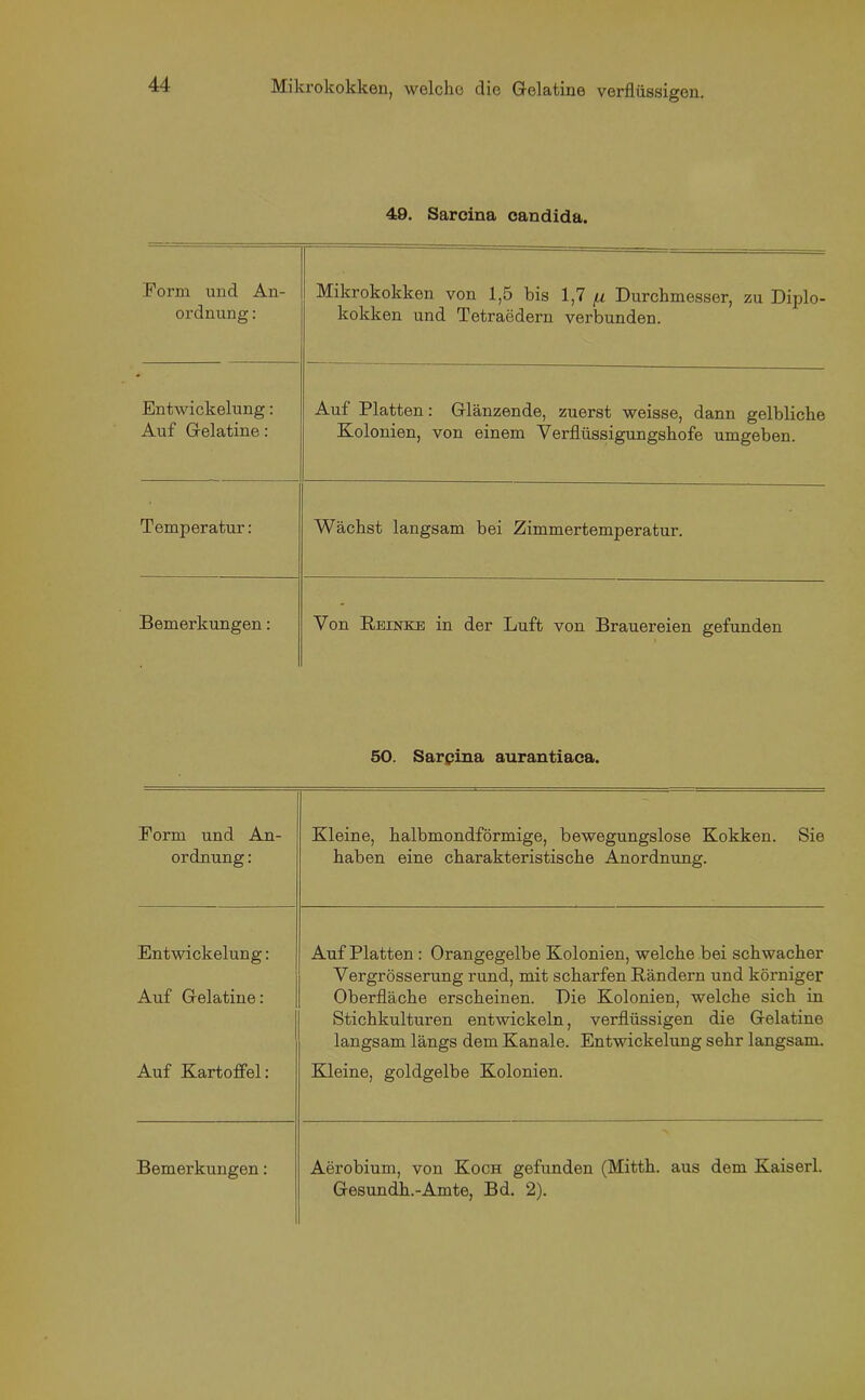 49. Sarcina candida. Form und An- ordnung : Mikrokokken von 1,5 bis 1,7 fj. Durchmesser, zu Diplo- kokken und Tetraedern verbunden. Entwickelung: Auf Gelatine: Auf Platten: Glänzende, zuerst weisse, dann gelbliche Kolonien, von einem Verflüssigungshofe umgeben. Temperatur: Wächst langsam bei Zimmertemperatur. Bemerkungen: Von Reinke in der Luft von Brauereien gefunden 50. Sarpina aurantiaca. Form und An- ordnung : Kleine, halbmondförmige, bewegungslose Kokken. Sie haben eine charakteristische Anordnung. Entwickelung: Auf Platten : Orangegelbe Kolonien, welche bei schwacher Auf Gelatine: Vergrösserung rund, mit scharfen Rändern und körniger Oberfläche erscheinen. Die Kolonien, welche sich in Stichkulturen entwickeln, verflüssigen die Gelatine langsam längs dem Kanäle. Entwickelung sehr langsam. Auf Kartoffel: Kleine, goldgelbe Kolonien. Bemerkungen: Aerobium, von Koch gefunden (Mitth. aus dem Kaiserl. Gesundh.-Amte, Bd. 2).