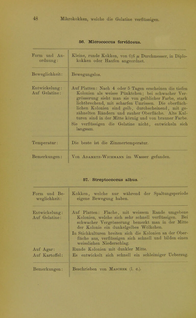 56. Mierococcus fervidosus. Form und An- ordnung : Kleine, runde Kokken, von 0,6 f.i Durchmesser, in Diplo- kokken oder Haufen angeordnet. Beweglichkeit: Bewegungslos. Entwickelung: Auf Gelatine: Auf Platten: Nach 4 oder 5 Tagen erscheinen die tiefen Kolonien als weisse Pünktchen; hei schwacher Ver- grösserung sieht man sie von gelblicher Farbe, stark lichtbrechend, mit scharfen Umrissen. Die oberfläch- lichen Kolonien sind gelb, durchscheinend, mit ge- zähnelten Rändern und rauher Oberfläche. Alte Kul- turen sind in der Mitte körnig und von brauner Farbe. Sie verflüssigen die Gelatine nicht, entwickeln sich langsam. Temperatur: Die beste ist die Zimmertemperatur. Bemerkungen: Von Adametz-Wichmann im Wasser gefunden. 57. Streptococcus albus. Form und Be- weglichkeit : Kokken, welche nur während der Spaltungsperiode eigene Bewegung haben. Entwickelung: Auf Gelatine: Auf Platten: Flache, mit weissem Rande umgebene Kolonien, welche sich sehr schnell verflüssigen. Bei schwacher Vergrösserung bemerkt man in der Mitte der Kolonie ein dunkelgelbes Wölkchen. In Stichkulturen breiten sich die Kolonien an der Ober- fläche aus, verflüssigen sich schnell und bilden einen weisslichen Niederschlag. Auf Agar: Auf Kartoffel: Runde Kolonien mit dunkler Mitte. Es entwickelt sich schnell ein schleimiger Ueberzug.