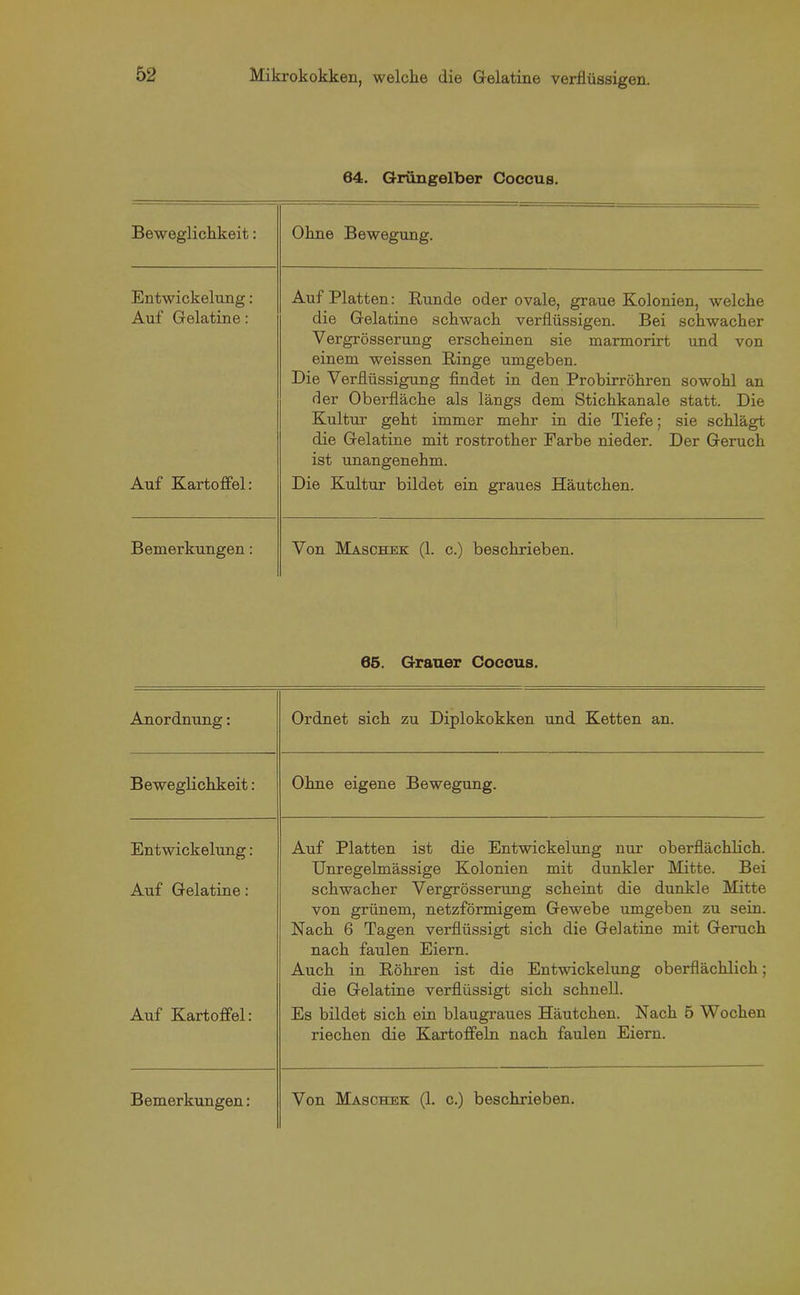 64. Grüngelber Coccus. Beweglichkeit: Ohne Bewegung. Entwickelung: Auf Gelatine: Auf Platten: Runde oder ovale, graue Kolonien, welche die Gelatine schwach verflüssigen. Bei schwacher Vergrösserung erscheinen sie marmorirt und von einem weissen Ringe umgeben. Die Verflüssigung findet in den Probirröhren sowohl an der Oberfläche als längs dem Stichkanale statt. Die Kultur geht immer mehr in die Tiefe; sie schlägt die Gelatine mit rostrother Farbe nieder. Der Geruch ist unangenehm. Auf Kartoffel: Die Kultur bildet ein graues Häutchen. Bemerkungen: Von Maschek (1. c.) beschrieben. 65. Grauer Coecus. Anordnung: Ordnet sich zu Diplokokken und Ketten an. Beweglichkeit: Ohne eigene Bewegung. Entwickelung: Auf Platten ist die Entwickelung nur oberflächlich. Unregelmässige Kolonien mit dunkler Mitte. Bei Auf Gelatine: schwacher Vergrösserung scheint die dunkle Mitte von grünem, netzförmigem Gewebe umgeben zu sein. Nach 6 Tagen verflüssigt sich die Gelatine mit Geruch nach faulen Eiern. Auch in Röhren ist die Entwickelung oberflächlich; die Gelatine verflüssigt sich schnell. Auf Kartoffel: Es bildet sich ein blaugraues Häutchen. Nach 5 Wochen riechen die Kartoffeln nach faulen Eiern.