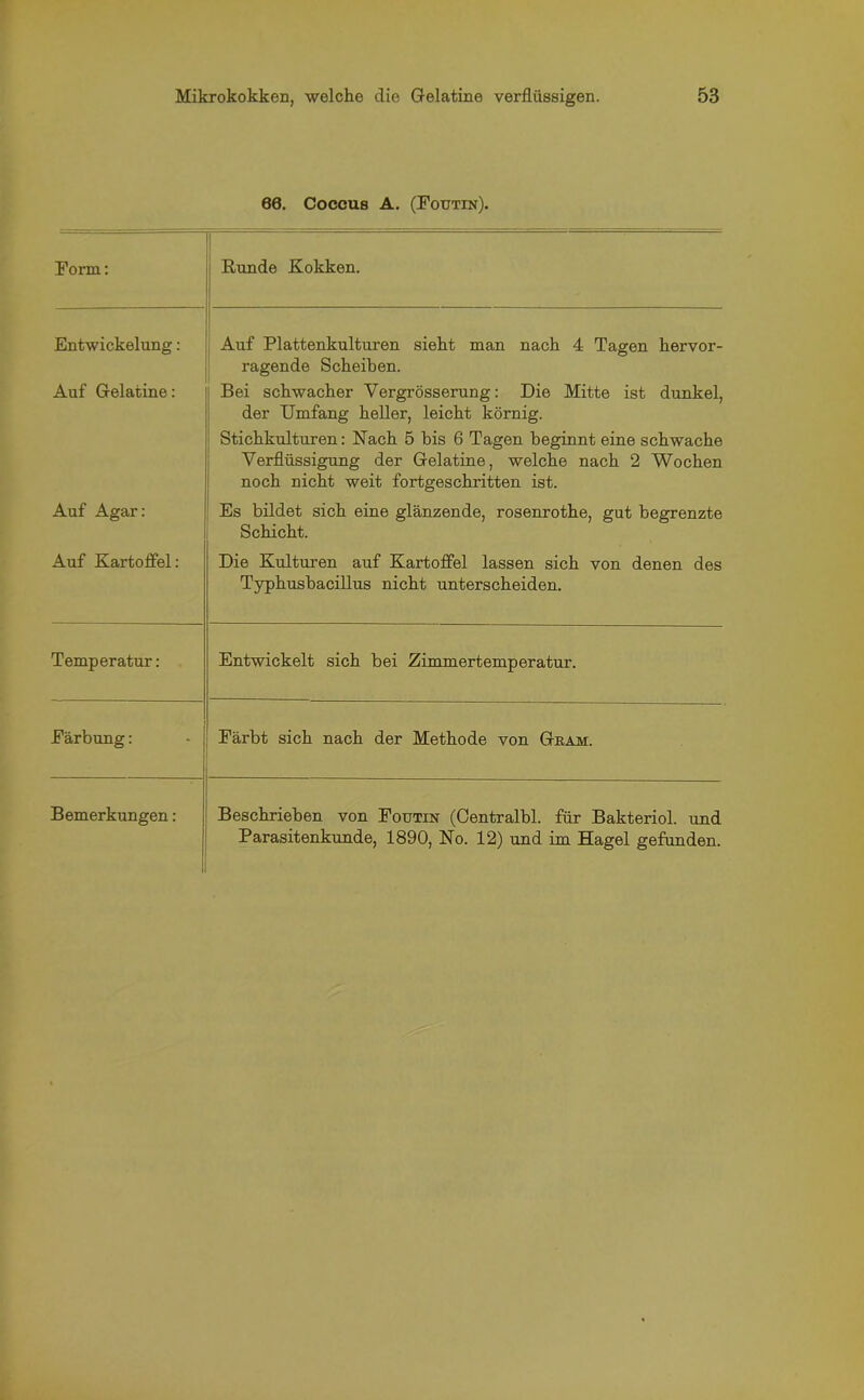 66. Coccus A. (Foutin). Form: Runde Kokken. Entwickelung: Auf Plattenkulturen sieht man nach 4 Tagen hervor- ragende Scheiben. Auf Gelatine: Bei schwacher Vergrösserung: Die Mitte ist dunkel, der Umfang heller, leicht körnig. Stichkulturen: Nach 5 bis 6 Tagen beginnt eine schwache Verflüssigung der Gelatine, welche nach 2 Wochen noch nicht weit fortgeschritten ist. Auf Agar: Es bildet sich eine glänzende, rosenrothe, gut begrenzte Schicht. Auf Kartoffel: Die Kulturen auf Kartoffel lassen sich von denen des Typhusbacillus nicht unterscheiden. Temperatur: Entwickelt sich bei Zimmertemperatur. Färbung: Färbt sich nach der Methode von Ga am Bemerkungen: Beschrieben von Foutin (Centralbl. für Bakteriol. und Parasitenkunde, 1890, No. 12) und im Hagel gefunden.