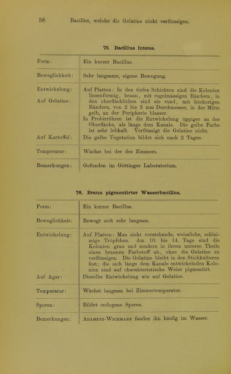 75. Bacillus luteus. Form: Ein kurzer Bacillus. Beweglichkeit: Sehr langsame, eigene Bewegung. Entwickelung: Auf Platten: In den tiefen Schichten sind die Kolonien Auf Gelatine: linsenförmig, braun, mit regelmässigen Rändern, in den oberflächlichen sind sie rund, mit höckerigen Rändern, von 2 bis 3 mm Durchmesser, in der Mitte gelb, an der Peripherie blasser. In Probirröhren ist die Entwickelung üppiger an der Oberfläche, als längs dem Kanäle. Die gelbe Farbe ist sehr lebhaft. Verflüssigt die Gelatine nicht. Auf Kartolfel: Die gelbe Vegetation bildet sich nach 2 Tagen. Temperatur: Wächst bei der des Zimmers. Bemerkungen: Gefunden im Göttinger Laboratorium. 76. Braun pigmentirter Wasserbacillus. Form: Ein kurzer Bacillus. Beweglichkeit: Bewegt sich sehr langsam. Entwickelung: Auf Platten: Man sieht vorstehende, weissliche, schlei- mige Tröpfchen. Am 10. bis 14. Tage sind die Kolonien grau und sondern in ihrem unteren Theile einen braunen Farbstoff ab, ohne die Gelatine zu V verflüssigen. Die Gelatine bleibt in den Stichkulturen fest; die sich längs dem Kanäle entwickelnden Kolo- nien sind auf charakteristische Weise pigmentirt. Auf Agar: Dieselbe Entwickelung wie auf Gelatine. Temperatur: Wächst langsam bei Zimmertemperatur. Sporen: Bildet endogene Sporen.