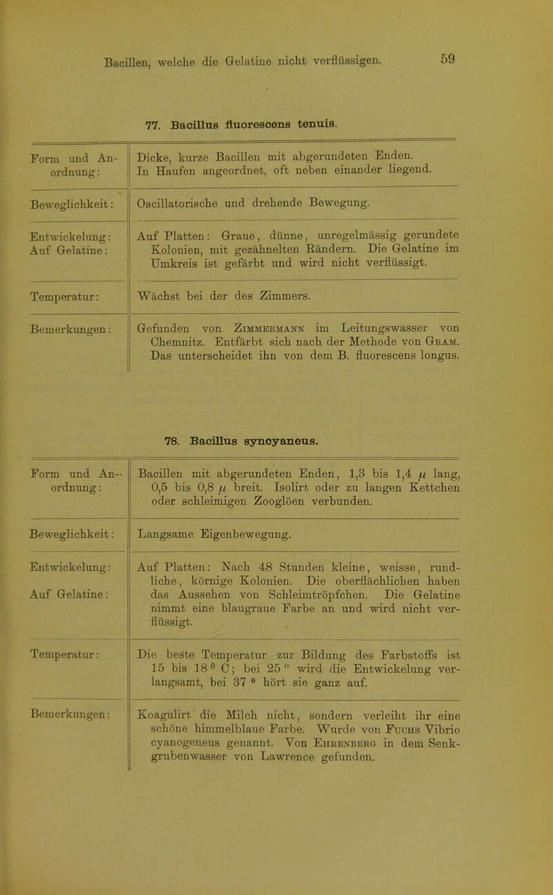 77. Bacillus fluorescens tenuis. Form und An- ordnung : Dicke, kurze Bacillen mit abgerundeten Enden. In Haufen angeordnet, oft neben einander liegend. Beweglichkeit: Oscillatorische und drehende Bewegung. Entwickelung: Auf Gelatine: Auf Platten : Graue, dünne, unregelmässig gerundete Kolonien, mit gezähnelten Rändern. Die Gelatine im Umkreis ist gefärbt und wird nicht verflüssigt. Temperatur: Wächst bei der des Zimmers. Bemerkungen: Gefunden von Zimmermann im Leitungswasser von Chemnitz. Entfärbt sich nach der Methode von Gram. Das unterscheidet ihn von dem B. fluorescens longus. 78. Bacillus synoyaneus. Form und An- ordnung : Bacillen mit abgerundeten Enden, 1,3 bis 1,4 /ii lang, 0,5 bis 0,8 breit. Isolirt oder zu langen Kettchen oder schleimigen Zooglöen verbunden. Beweglichkeit: Langsame Eigenbewegung. Entwickelung: Auf Platten: Nach 48 Stunden kleine, weisse, rund- liche , körnige Kolonien. Die oberflächlichen haben Auf Gelatine: das Aussehen von Schleimtröpfchen. Die Gelatine nimmt eine blaugraue Farbe an und wird nicht ver- flüssigt. Temperatur: Die beste Temperatur zur Bildung des Farbstoffs ist 15 bis 18° C; bei 25° wird die Entwickelung ver- langsamt, bei 37 0 hört sie ganz auf. Bemerkungen: Koagulirt die Milch nicht, sondern verleiht ihr eine schöne himmelblaue Farbe. Wurde von Fuchs Vibrio cyanogeneus genannt. Von Ehrenberg in dem Senk- grubenwasser von Lawrence gefunden.