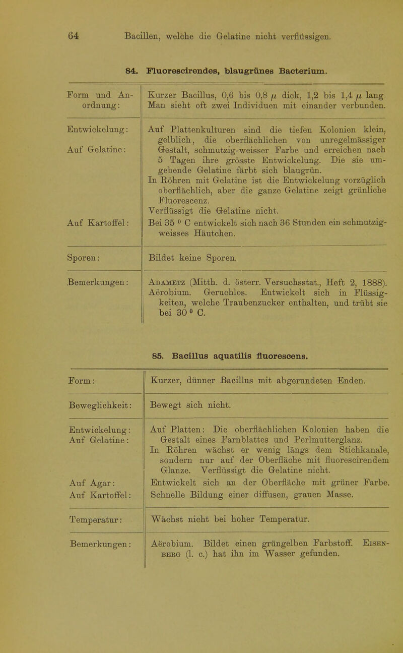 84. Fluorescirendes, blaugrünes Bacterium. Form und An- ordnung : Kurzer Bacillus, 0,6 bis 0,8 (.i dick, 1,2 bis 1,4 /x lang Man sieht oft zwei Individuen mit einander verbunden. Entwickelung: Auf Plattenkulturen sind die tiefen Kolonien klein, Auf Gelatine: gelblich, die oberflächlichen von unregelmässiger Gestalt, schmutzig-weisser Farbe und erreichen nach 5 Tagen ihre grösste Entwickelung. Die sie um- gebende Gelatine färbt sich blaugrün. In Röhren mit Gelatine ist die Entwickelung vorzüglich oberflächlich, aber die ganze Gelatine zeigt grünliche Fluorescenz. Auf Kartoffel: Verflüssigt die Gelatine nicht. Bei 35 0 C entwickelt sich nach 36 Stunden ein schmutzig- weisses Häutchen. Sporen: Bildet keine Sporen. Bemerkungen: Adametz (Mitth. d. österr. Versuchsstat., Heft 2, 1888). Aerobium. Geruchlos. Entwickelt sich in Flüssig- keiten, welche Traubenzucker enthalten, und trübt sie bei 30 0 C. 85. Bacillus aquatilis fluorescens. Form: Kurzer, dünner Bacillus mit abgerundeten Enden. Beweglichkeit: Bewegt sich nicht. Entwickelung: Auf Gelatine: Auf Platten: Die oberflächlichen Kolonien haben die Gestalt eines Farnblattes und Perlmutterglanz. In Röhren wächst er wenig längs dem Stichkanale, sondern nur auf der Oberfläche mit fluorescirendem Glanze. Verflüssigt die Gelatine nicht. Auf Agar: Auf Kartoffel: Entwickelt sich an der Oberfläche mit grüner Farbe. Schnelle Bildung einer diffusen, grauen Masse. Temperatur: Wächst nicht bei hoher Temperatur. Bemerkungen: Aerobium. Bildet einen gi’üngelben Farbstoff. Eisen- bebg (1. c.) hat ihn im Wasser gefunden.