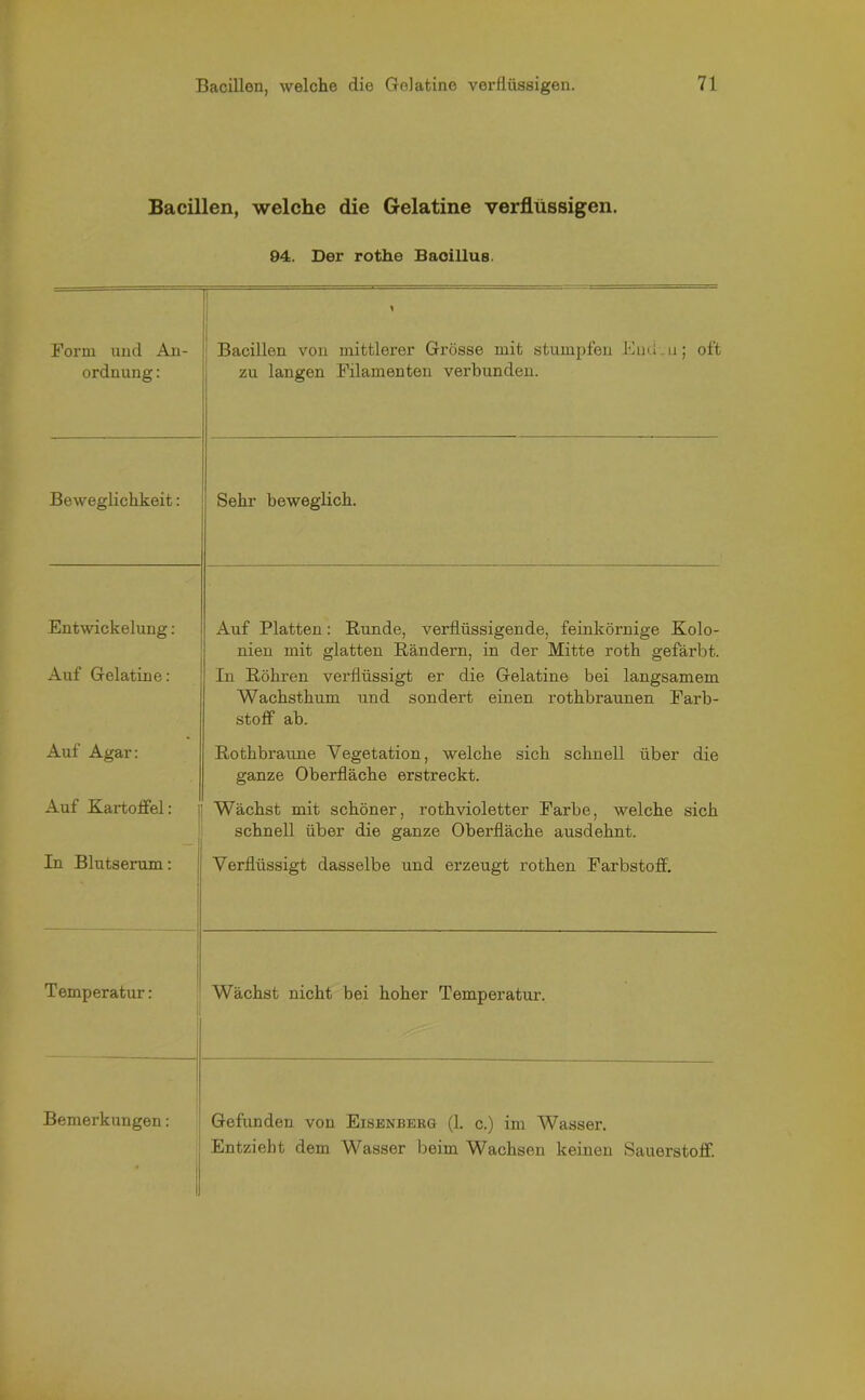 Bacillen, welche die Gelatine verflüssigen. 94. Der rothe Bacillus. Form und An- ordnung : Bacillen von mittlerer Grösse mit stumpfen Eucl.u; oft zu langen Filamenten verbunden. Beweglichkeit: Sehr beweglich. Entwickelung: Auf Platten: Bunde, verflüssigende, feinkörnige Kolo- nien mit glatten Bändern, in der Mitte roth gefärbt. Auf Gelatine: In Böhren verflüssigt er die Gelatine bei langsamem Wachsthum und sondert einen rothbraunen Farb- stoff ab. Auf Agar: Bothbraune Vegetation, welche sich schnell über die ganze Oberfläche erstreckt. Auf Kartoffel: Wächst mit schöner, roth violetter Farbe, welche sich schnell über die ganze Oberfläche ausdehnt. In Blutserum: Verflüssigt dasselbe und erzeugt rothen Farbstoff. Temperatur: Wächst nicht bei hoher Temperatur. Bemerkungen: Gefunden von Eisenberg (1. c.) im Wasser. Entzieht dem Wasser beim Wachsen keinen Sauerstoff.