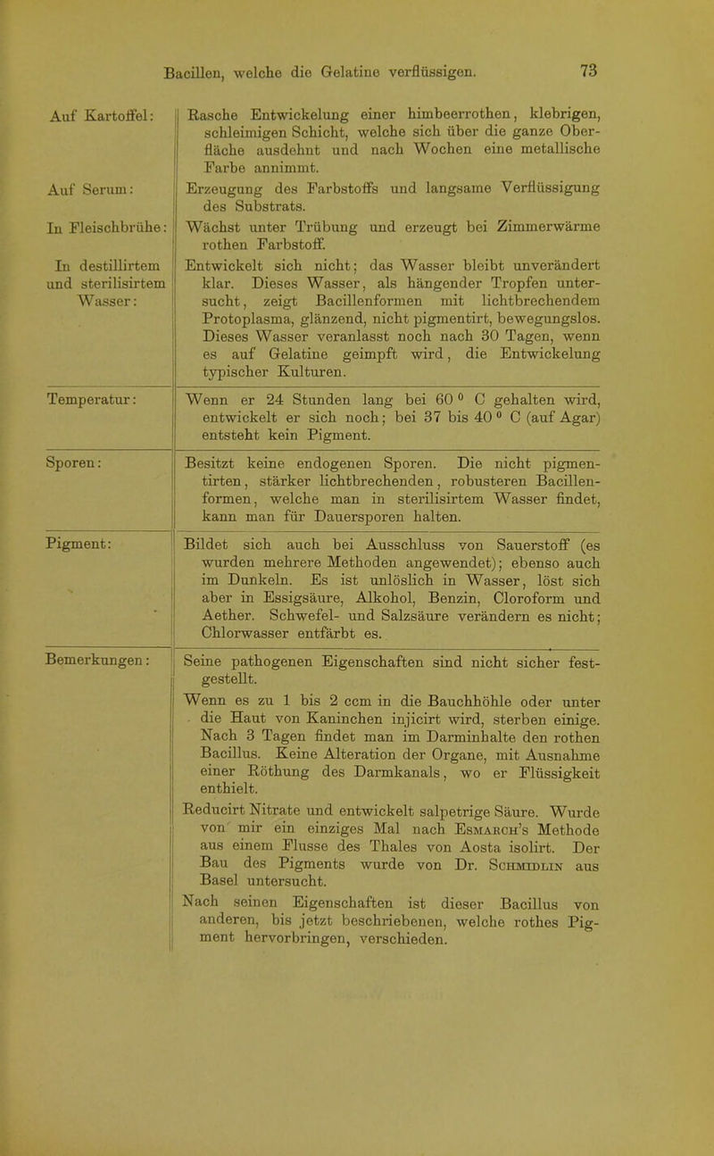 Auf Kartoffel: Rasche Entwickelung einer himbeerrothen, klebrigen, schleimigen Schicht, welche sich über die ganze Ober- fläche ausdehnt und nach Wochen eine metallische Farbe annimmt. Auf Serum: Erzeugung des Farbstoffs und langsame Verflüssigung des Substrats. In Fleischbrühe: Wächst unter Trübung und erzeugt bei Zimmerwärme rothen Farbstoff. In destillirtem und sterilisirtem Wasser: Entwickelt sich nicht; das Wasser bleibt unverändert klar. Dieses Wasser, als hängender Tropfen unter- sucht, zeigt Bacillenformen mit lichtbrechendem Protoplasma, glänzend, nicht pigmentirt, bewegungslos. Dieses Wasser veranlasst noch nach 30 Tagen, wenn es auf Gelatine geimpft wird, die Entwickelung typischer Kulturen. Temperatur: Wenn er 24 Stunden lang bei 60 0 C gehalten wird, entwickelt er sich noch; bei 37 bis 40 0 C (auf Agar) entsteht kein Pigment. Sporen: Besitzt keine endogenen Sporen. Die nicht pigmen- tirten, stärker lichtbrechenden, robusteren Bacillen- formen, welche man in sterilisirtem Wasser findet, kann man für Danersporen halten. Pigment: Bildet sich auch bei Ausschluss von Sauerstoff (es wurden mehrere Methoden angewendet); ebenso auch im Dunkeln. Es ist unlöslich in Wasser, löst sich aber in Essigsäure, Alkohol, Benzin, Cloroform und Aether. Schwefel- und Salzsäure verändern es nicht; Chlorwasser entfärbt es. Bemerkungen: Seine pathogenen Eigenschaften sind nicht sicher fest- gestellt. Wenn es zu 1 bis 2 ccm in die Bauchhöhle oder unter die Haut von Kaninchen injicirt wird, sterben einige. Nach 3 Tagen findet man im Darminhalte den rothen Bacillus. Keine Alteration der Organe, mit Ausnahme einer Röthung des Darmkanals, wo er Flüssigkeit enthielt. Reducirt Nitrate und entwickelt salpetrige Säure. Wurde von mir ein einziges Mal nach Esmabch’s Methode aus einem Flusse des Thaies von Aosta isolirt. Der Bau des Pigments wurde von Dr. Schmtdlin aus Basel untersucht. Nach seinen Eigenschaften ist dieser Bacillus von anderen, bis jetzt beschriebenen, welche rothes Pig- ment hervorbringen, verschieden.