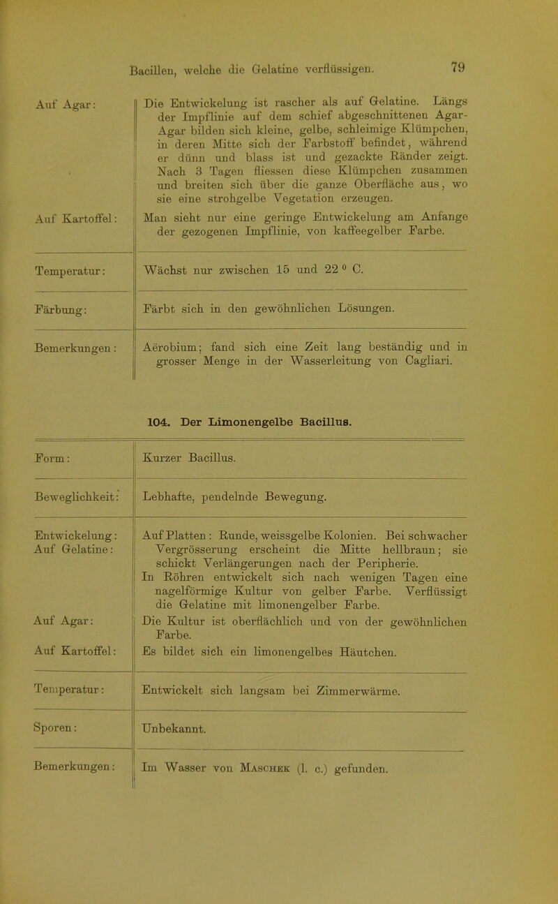 Auf Agar: • Die Entwickelung ist rascher als auf Gelatine. Längs der Impflinie auf dem schief abgeschnittenen Agar- Agar bilden sich kleine, gelbe, schleimige Klümpchen, in deren Mitte sich der Farbstoff befindet, während er dünn und blass ist und gezackte Ränder zeigt. Nach 3 Tagen fliessen diese Klümpchen zusammen und breiten sich über die ganze Oberfläche aus, wo sie eine strohgelbe Vegetation erzeugen. Auf Kartoffel: Man sieht nur eine geringe Entwickelung am Anfänge der gezogenen Impflinie, von kaffeegelber Farbe. Temperatur: Wächst nur zwischen 15 und 22 0 C. Färbung: Färbt sich in den gewöhnlichen Lösungen. Bemerkungen: Aerobium; fand sich eine Zeit lang beständig und in grosser Menge in der Wasserleitung von Cagliari. 104. Der Limonengelbe Bacillus. Form: Kurzer Bacillus. Beweglichkeit: Lebhafte, pendelnde Bewegung. Entwickelung: Auf Gelatine: Auf Platten : Runde, weissgelbe Kolonien. Bei schwacher Vergrösserung erscheint die Mitte hellbraun; sie schickt Verlängerungen nach der Peripherie. In Röhren entwickelt sich nach wenigen Tagen eine nagelförmige Kultur von gelber Farbe. Verflüssigt die Gelatine mit limonengelber Farbe. Auf Agar: Die Kultur ist oberflächlich und von der gewöhnlichen Farbe. Auf Kartoffel: Es bildet sich ein limonengelbes Häutchen. Temperatur: Entwickelt sich langsam bei Zimmerwärme. Sporen: Unbekannt.