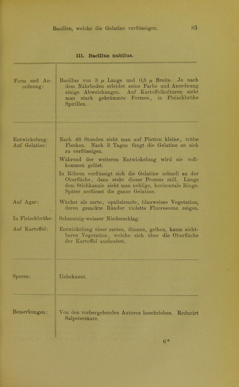 111. Bacillus nubilus. Form und An- ordnung : Bacillus von 3 (.i Länge und 0,3 /.i Breite. Je nach dem Nährboden erleidet seine Farbe und Anordnung einige Abweichungen. Auf Kartoffelkulturen sieht man stark gekrümmte Formen, in Fleischbrühe Spirillen. Entwickelung: Auf Gelatine: Nach 48 Stunden sieht man auf Platten kleine, trübe Flecken. Nach 3 Tagen fängt die Gelatine an sich zu verflüssigen. Während der weiteren Entwickelung wird sie voll- kommen gelöst. In Röhren verflüssigt sich die Gelatine schnell an der Oberfläche, dann steht dieser Prozess still. Längs dem Stichkanale sieht man neblige, horizontale Ringe. Später zerfliesst die ganze Gelatine. Auf Agar: Wächst als zarte, opalisirende, blauweisse Vegetation, deren gezackte Ränder violette Fluorescenz zeigen. In Fleischbrühe: Schmutzig-weisser Niederschlag. Auf Kartoffel: Entwickelung einer zarten, dünnen, gelben, kaum sicht- baren Vegetation, welche sich über die Oberfläche der Kartoffel ausbreitet. Sporen: Unbekannt. Bemerkungen: Von den voi’hergehenden Autoren beschrieben. Reducirt Salpetersäure. 6*