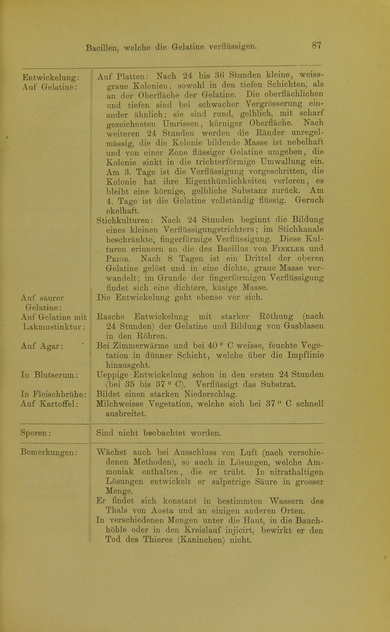 Entwickelung: Auf Gelatine: Auf saurer Gelatine: Auf Gelatine mit Lakmustinktur: Auf Agar: In Blutserum: In Fleischbrühe: Auf Kartoffel: Sporen: Bemerkungen: Auf Platten: Nach 24 bis 36 Stunden kleine, weiss- graue Kolonien, sowohl in den tiefen Schichten, als an der Oberfläche der Gelatine. Die oberflächlichen und tiefen sind bei schwacher Vergrösserung ein- ander ähnlich; sie sind rund, gelblich, mit scharf gezeichneten Umrissen, körniger Oberfläche. Nach weiteren 24 Stunden werden die Ränder unregel- mässig, die die Kolonie bildende Masse ist nebelhaft und von einer Zone flüssiger Gelatine umgeben, die Kolonie sinkt in die trichterförmige Umwallung ein. Am 3. Tage ist die Verflüssigung vorgeschritten, die Kolonie hat ihre Eigenthümlichkeiten verloren, es bleibt eine körnige, gelbliche Substanz zurück. Am 4. Tage ist die Gelatine vollständig flüssig. Geruch ekelhaft. Stichkulturen: Nach 24 Stunden beginnt die Bildung eines kleinen Verflüssigungstrichters; im Stichkanale beschränkte, fingerförmige Verflüssigung. Diese Kul- turen erinnern an die des Bacillus von Finkleb und Pbiob. Nach 8 Tagen ist ein Drittel der oberen Gelatine gelöst und in eine dichte, graue Masse ver- wandelt; im Grunde der fingerförmigen Verflüssigung findet sich eine dichtere, käsige Masse. Die Entwickelung geht ebenso vor sich. Rasche Entwickelung mit starker Röthung (nach 24 Stunden) der Gelatine und Bildung von Gasblasen in den Röhren. Bei Zimmerwärme und bei 40 0 C weisse, feuchte Vege- tation in dünner Schicht, welche über die Impflinie hinausgeht. Ueppige Entwickelung schon in den ersten 24 Stunden (bei 35 bis 37 0 C). Verflüssigt das Substrat. Bildet einen starken Niederschlag. Milchweisse Vegetation, welche sich bei 37 0 C schnell ausbreitet. Sind nicht beobachtet worden. Wächst auch bei Ausschluss von Luft (nach verschie- denen Methoden), so auch in Lösungen, welche Am- moniak enthalten, die er trübt. In nitrathaltigen Lösungen entwickelt er salpetrige Säure in grosser Menge. Er findet sich konstant in bestimmten Wassern des Thals von Aosta und an einigen anderen Orten. In verschiedenen Mengen unter die Haut, in die Bauch- höhle oder in den Kreislauf injicirt, bewirkt er den Tod des Thieres (Kaninchen) nicht.