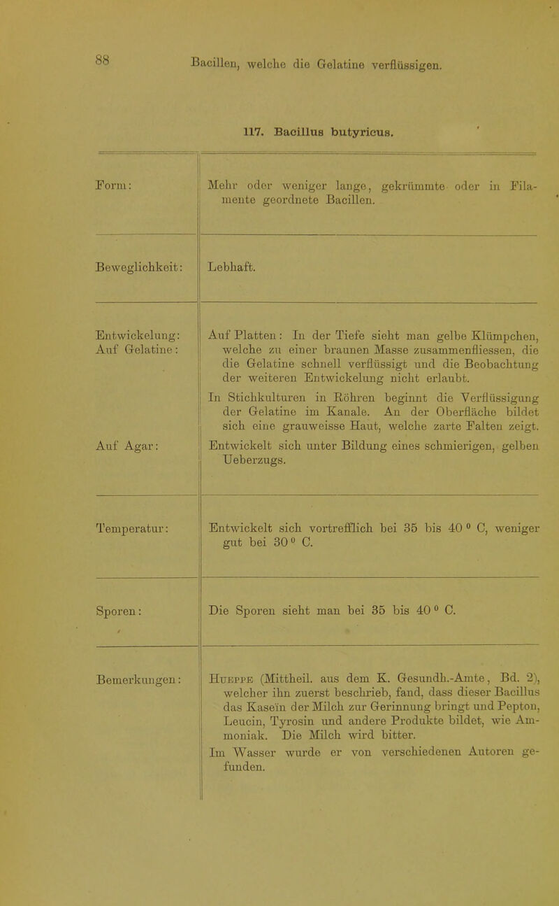 117. Bacillus butyrieus. Form: Mehr oder weniger lange, gekrümmte oder in Fila- mente geordnete Bacillen. Beweglichkeit: Lebhaft. Entwickelung: Auf Gelatine: Auf Platten: In der Tiefe sieht man gelbe Klümpchen, welche zu einer braunen Masse zusammenfliessen, die die Gelatine schnell verflüssigt und die Beobachtung der weiteren Entwickelung nicht erlaubt. In Stichkulturen in Böhren beginnt die Verflüssigung der Gelatine im Kanäle. An der Oberfläche bildet sich eine grauweisse Haut, welche zarte Falten zeigt. Auf Agar: Entwickelt sich unter Bildung eines schmierigen, gelben Ueberzugs. Temperatur: Entwickelt sich vortrefflich bei 35 bis 40 0 C, weniger gut bei 30° C. Sporen: Die Sporen sieht man bei 35 bis 40 0 C. 4 Bemerkungen: Htjeppe (Mittheil, aus dem K. Gesundh.-Amte, Bd. 2), welcher ihn zuerst beschrieb, fand, dass dieser Bacillus das Kasein der Milch zur Gerinnung bringt und Pepton, Leucin, Tyrosin und andere Produkte bildet, wie Am- moniak. Die Milch wird bitter. Im Wasser wurde er von verschiedenen Autoren ge- funden.