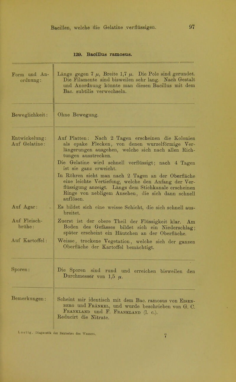 129. Bacillus ramosus. Form und An- ordnung : Lange gegen 7 /n, Breite 1,7 /.i. Die Pole sind gerundet. Die Filamente sind bisweilen sehr lang. Nach Gestalt und Anordnung könnte man diesen Bacillus mit dem Bac. subtilis verwechseln. Beweglichkeit: Ohne Bewegung. Entwickelung: Auf Gelatine: Auf Platten: Nach 2 Tagen erscheinen die Kolonien als opake Flecken, von denen wurzelförmige Ver- längerungen ausgehen, welche sich nach allen Rich- tungen ausstrecken. Die Gelatine wird schnell verflüssigt; nach 4 Tagen ist sie ganz erweicht. In Röhren sieht man nach 2 Tagen an der Oberfläche eine leichte Vertiefung, welche den Anfang der Ver- flüssigung anzeigt. Längs dem Stichkanale erscheinen Ringe von nebligem Ansehen, die sich dann schnell auflösen. Auf Agar: Es bildet sich eine weisse Schicht, die sich schnell aus- breitet. Auf Fleisch- brühe : Zuerst ist der obere Theil der Flüssigkeit klar. Am Boden des Gefässes bildet sich ein Niederschlag; später erscheint ein Häutchen an der Oberfläche. Auf Kartoffel: Weisse, trockene Vegetation, welche sich der ganzen Oberfläche der Kartoffel bemächtigt. Sporen: Die Sporen sind rund und erreichen bisweilen den Durchmesser von 1,5 /u. Bemerkungen: Scheint mir identisch mit dem Bac. ramosus von Eisen- berg und Frankel, und wurde beschrieben von G. C. Franklanu und F. Frankland (1. c.). Reducirt die Nitrate. II I. u s t i g, Diagnostik der Bakterien des Wassers. 7