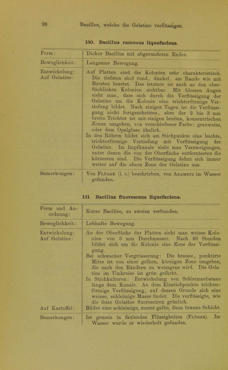 130. Bacillus ramosus liquefaciens. Form: Dicker Bacillus mit abgerundeten Enden. Beweglichkeit: Langsame Bewegung. Entwickelung: Auf Gelatine: Aul Platten sind die Kolonien sehr charakteristisch. Die tiefsten sind rund, dunkel, am Rande wie mit Borsten besetzt. Das letztere ist auch an den ober- flächlichen Kolonien sichtbar. Mit blossen Augen sieht man, dass sich durch die Verflüssigung der Gelatine um die Kolonie eine trichterförmige Ver- tiefung bildet. Nach einigen Tagen ist die Verflüssi- gung nicht fortgeschritten, aber der 2 bis 3 mm breite Trichter ist mit einigen breiten, konzentrischen Zonen umgeben, von verschiedener Farbe: grauweiss, oder dem Opalglase ähnlich. In den Röhren bildet sich am Stichpunkte eine leichte, trichterförmige Vertiefung mit Verflüssigung der Gelatine. Im Impfkanale sieht man Verzweigungen, unter denen die von der Oberfläche entferntesten die kürzesten sind. Die Verflüssigung dehnt sich immer weiter auf die obere Zone der Gelatine aus. Bemerkungen: Von Flügge (1. c.) beschrieben, von Adametz im Wasser gefunden. 131. Bacillus fluorescens liquefaciens. Form und An- ordnung : Kurze Bacillen, zu zweien verbunden. Beweglichkeit: Lebhafte Bewegung. Entwickelung: Auf Gelatine: An der Oberfläche der Platten sieht man weisse Kolo- nien von 3 mm Durchmesser. Nach 48 Stunden bildet sich um die Kolonie eine Zone der Verflüssi- Auf Kartoffel: gung. Bei schwacher Vergrösserung: Die braune, punktirte Mitte ist von einer gelben, körnigen Zone umgeben, die nach den Rändern zu weissgrau wird. Die Gela- tine im Umkreise ist grün gefärbt. In Stichkulturen: Entwickelung von Schleimsubstanz längs dem Kanäle. An dem Einstichpunkte trichter- förmige Verflüssigung, auf dessen Grunde sich eine weisse, schleimige Masse findet. Die verflüssigte, wie die feste Gelatine fluoresciren grünlich. Bildet eine schleimige, zuerst gelbe, dann braune Schicht. Bemerkungen: Ist gemein in faulenden Flüssigkeiten (Flügge). Im Wasser wurde er wiederholt gefunden.