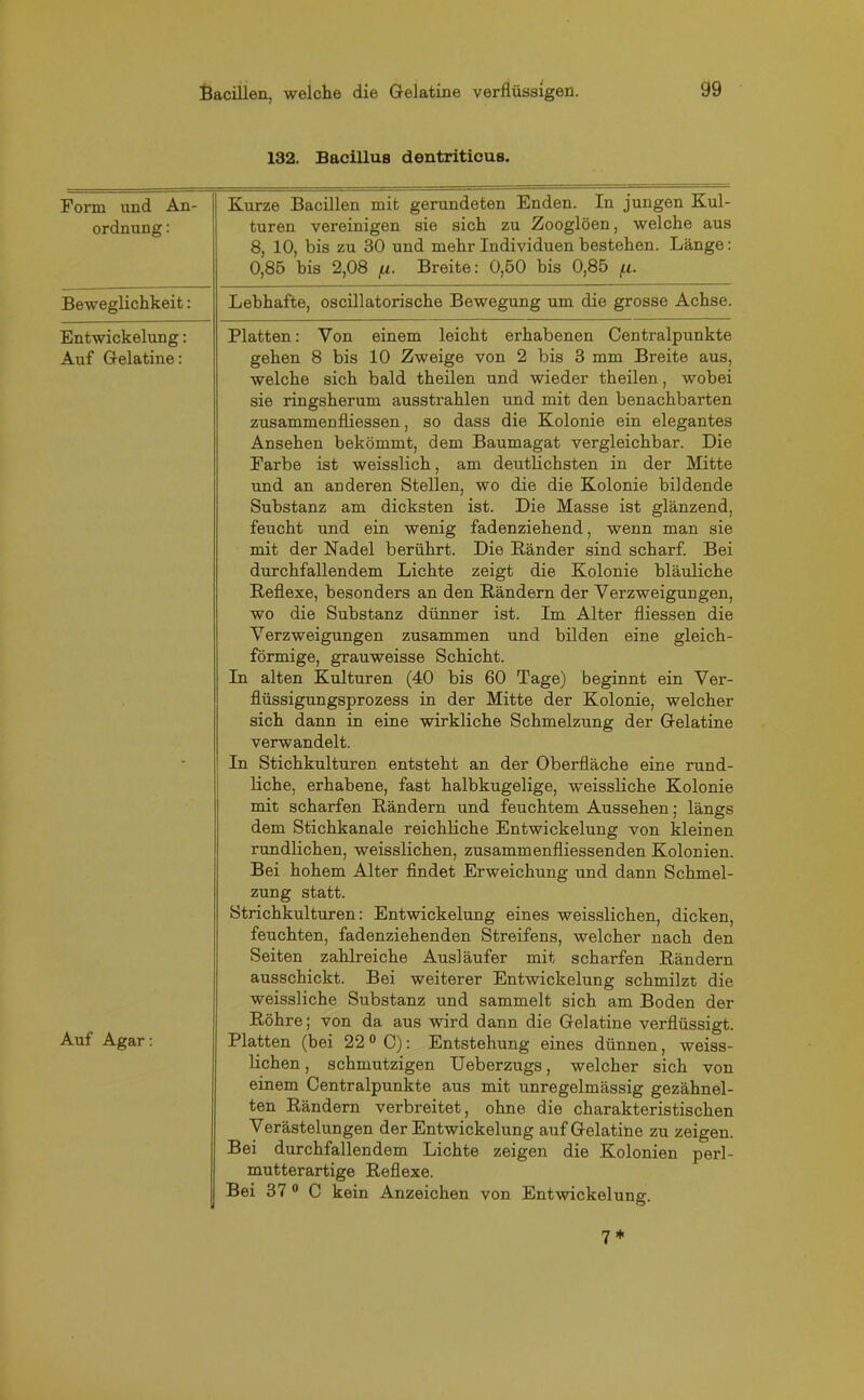 132. Bacillus dentriticus. Form und An- ordnung : Kurze Bacillen mit gerundeten Enden. In jungen Kul- turen vereinigen sie sich zu Zooglöen, welche aus 8, 10, bis zu 30 und mehr Individuen bestehen. Länge: 0,85 bis 2,08 fi. Breite: 0,50 bis 0,85 /u. Beweglichkeit: Lebhafte, oscillatorische Bewegung um die grosse Achse. Entwickelung: Auf Gelatine: Platten: Von einem leicht erhabenen Centralpunkte gehen 8 bis 10 Zweige von 2 bis 3 mm Breite aus, welche sich bald theüen und wieder theilen, wobei sie ringsherum ausstrahlen und mit den benachbarten zusammenfliessen, so dass die Kolonie ein elegantes Ansehen bekömmt, dem Baumagat vergleichbar. Die Farbe ist weisslich, am deutlichsten in der Mitte und an anderen Stellen, wo die die Kolonie bildende Substanz am dicksten ist. Die Masse ist glänzend, feucht und ein wenig fadenziehend, wenn man sie mit der Nadel berührt. Die Ränder sind scharf. Bei durchfallendem Lichte zeigt die Kolonie bläuliche Reflexe, besonders an den Rändern der Verzweigungen, wo die Substanz dünner ist. Im Alter fliessen die Verzweigungen zusammen und bilden eine gleich- förmige, grauweisse Schicht. In alten Kulturen (40 bis 60 Tage) beginnt ein Ver- flüssigungsprozess in der Mitte der Kolonie, welcher sich dann in eine wirkliche Schmelzung der Gelatine verwandelt. Auf Agar: In Stichkulturen entsteht an der Oberfläche eine rund- liche, erhabene, fast halbkugelige, weissliche Kolonie mit scharfen Rändern und feuchtem Aussehen; längs dem Stichkanale reichliche Entwickelung von kleinen rundlichen, weisslichen, zusammenfliessenden Kolonien. Bei hohem Alter findet Erweichung und dann Schmel- zung statt. Strichkulturen: Entwickelung eines weisslichen, dicken, feuchten, fadenziehenden Streifens, welcher nach den Seiten zahlreiche Ausläufer mit scharfen Rändern ausschickt. Bei weiterer Entwickelung schmilzt die weissliche Substanz und sammelt sich am Boden der Röhre; von da aus wird dann die Gelatine verflüssigt. Platten (bei 220 C): Entstehung eines dünnen, weiss- lichen, schmutzigen Ueberzugs, welcher sich von einem Centralpunkte aus mit unregelmässig gezähnel- ten Rändern verbreitet, ohne die charakteristischen Verästelungen der Entwickelung auf Gelatine zu zeigen. Bei durchfallendem Lichte zeigen die Kolonien perl- mutterartige Reflexe. Bei 37 0 C kein Anzeichen von Entwickelung. 7*