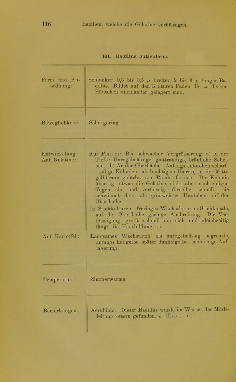 161. Bacillus cutieularis. Form und An- ordnung : Schlanker, 0,3 bis 0,5 /u breiter, 2 bis 3 /n langer Ba- cillus. Bildet auf den Kulturen Fäden, die zu derben Häutchen aneinander gelagert sind. Beweglichkeit: Sehr gering. Entwickelung: Auf Gelatine: Auf Platten: Bei schwacher Vergrösserung a) in der Tiefe: Unregelmässige, glattrandige, bränliche Schei- ben. b) An der Oberfläche: Anfangs entstehen scharf- randige Kolonien mit buchtigem Umriss, in der Mitte gelbbraun gefärbt, am Rande farblos. Die Kolonie überragt etwas die Gelatine, sinkt aber nach einigen Tagen ein und verflüssigt dieselbe schnell, sie schwimmt dann als grauweisses Häutchen auf der Oberfläche. In Stichkulturen: Geringes Wachsthum im Stichkanale, auf der Oberfläche geringe Ausbreitung. Die Ver- flüssigung greift schnell um sich und gleichzeitig fängt die Hautbildung an. Auf Kartoffel: Langsames Wachsthum als unregelmässig begrenzte, anfangs hellgelbe, später dunkelgelbe, schleimige Auf- lagerung. Temperatur: Zimmerwärme. Bemerkungen: Aerobium. Dieser Bacillus wurde im Wasser der Mösle- leitung öfters gefunden. J. Tils (1. c.).