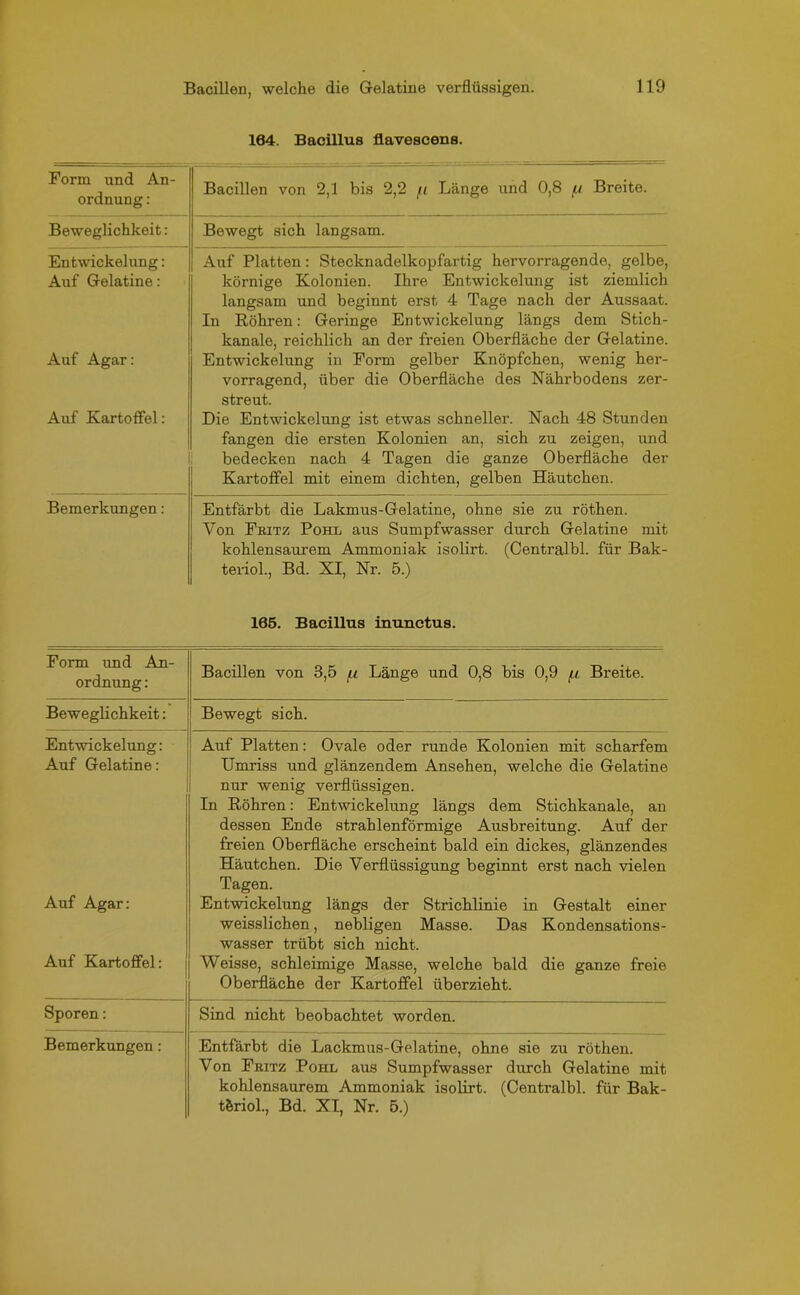 104. Bacillus flavescens. Form und An- ordnung : Bacillen von 2,1 bis 2,2 // Länge und 0,8 u Breite. Beweglichkeit: Bewegt sich langsam. Entwickelung: Auf Gelatine: Auf Platten: Stecknadelkopfartig hervorragende, gelbe, körnige Kolonien. Ihre Entwickelung ist ziemlich langsam und beginnt erst 4 Tage nach der Aussaat. In Röhren: Geringe Entwickelung längs dem Stich- kanale, reichlich an der freien Oberfläche der Gelatine. Auf Agar: Entwickelung in Form gelber Knöpfchen, wenig her- vorragend, über die Oberfläche des Nährbodens zer- streut. Auf Kartoffel: Die Entwickelung ist etwas schneller. Nach 48 Stunden fangen die ersten Kolonien an, sich zu zeigen, und bedecken nach 4 Tagen die ganze Oberfläche der Kartoffel mit einem dichten, gelben Häutchen. Bemerkungen: Entfärbt die Lakmus-Gelatine, ohne sie zu röthen. Von Fritz Pohl aus Sumpfwasser durch Gelatine mit kohlensaurem Ammoniak isolirt. (Centralbl. für Bak- teriol., Bd. XI, Nr. 5.) 165. Bacillus inunctus. Form und An- ordnung : Bacillen von 3,5 fx Länge und 0,8 bis 0,9 /.i Breite. Beweglichkeit: Bewegt sich. Entwickelung: Auf Gelatine: Auf Platten: Ovale oder runde Kolonien mit scharfem Umriss und glänzendem Ansehen, welche die Gelatine nur wenig verflüssigen. In Röhren: Entwickelung längs dem Stichkanale, an dessen Ende strahlenförmige Ausbreitung. Auf der freien Oberfläche erscheint bald ein dickes, glänzendes Häutchen. Die Verflüssigung beginnt erst nach vielen Tagen. Auf Agar: Entwickelung längs der Strichlinie in Gestalt einer weisslichen, nebligen Masse. Das Kondensations- wasser trübt sich nicht. Auf Kartoffel: Weisse, schleimige Masse, welche bald die ganze freie Oberfläche der Kartoffel überzieht. Sporen: Sind nicht beobachtet worden. Bemerkungen : Entfärbt die Lackmus-Gelatine, ohne sie zu röthen. Von Fritz Pohl aus Sumpfwasser durch Gelatine mit kohlensaurem Ammoniak isolirt. (Centralbl. für Bak- tferiol., Bd. XI, Nr. 5.)