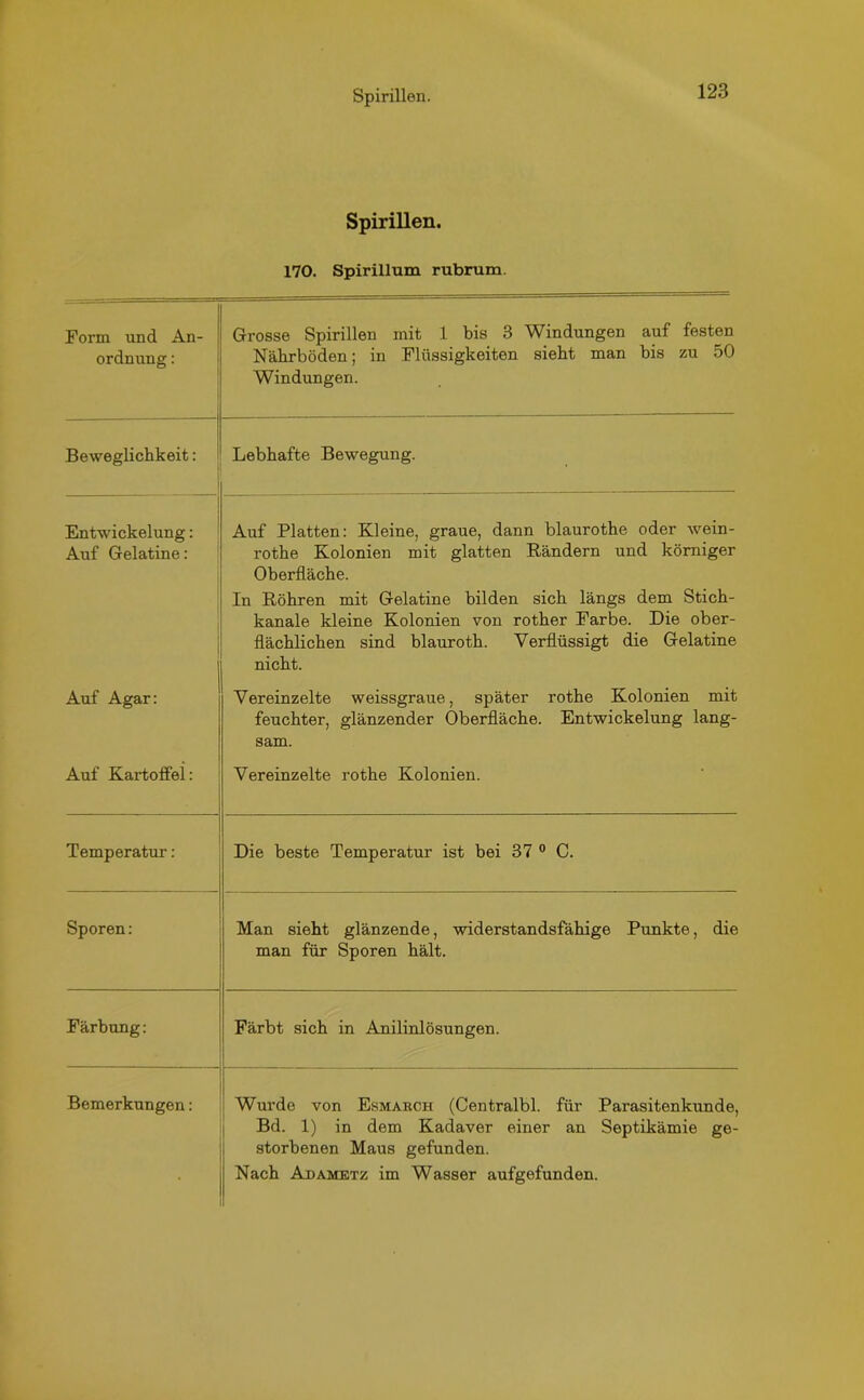 Spirillen. 170. Spirillum rubrum. Form und An- ordnung : Grosse Spirillen mit 1 bis 3 Windungen auf festen Nährböden; in Flüssigkeiten sieht man bis zu 50 Windungen. Beweglichkeit: Lebhafte Bewegung. Entwickelung: Auf Gelatine: Auf Platten: Kleine, graue, dann blaurothe oder wein- rothe Kolonien mit glatten Rändern und körniger Oberfläche. In Röhren mit Gelatine bilden sich längs dem Stich- kanale kleine Kolonien von rother Farbe. Die ober- flächlichen sind blauroth. Verflüssigt die Gelatine nicht. Auf Agar: Vereinzelte weissgraue, später rothe Kolonien mit feuchter, glänzender Oberfläche. Entwickelung lang- sam. Auf Kartoffel: Vereinzelte rothe Kolonien. Temperatur: Die beste Temperatur ist bei 37 0 C. Sporen: Man sieht glänzende, widerstandsfähige Punkte, die man für Sporen hält. Färbung: Färbt sich in Anilinlösungen. Bemerkungen: Wurde von Esmakch (Centralbl. für Parasitenkunde, Bd. 1) in dem Kadaver einer an Septikämie ge- storbenen Maus gefunden. Nach Adametz im Wasser aufgefunden.