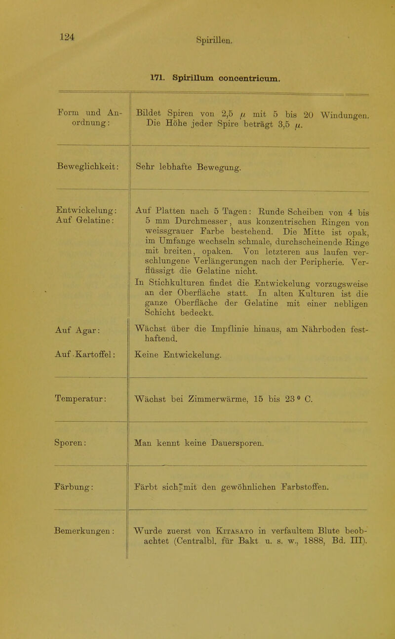 171. Spirillum concentricum. Form und An- ordnung : Bildet Spiren von 2,5 (x mit 5 bis 20 Windungen. Die Höhe jeder Spire beträgt 3,5 fi. Beweglichkeit: Sehr lebhafte Bewegung. Entwickelung : Auf Gelatine: Auf Platten nach 5 Tagen: Runde Scheiben von 4 bis 5 mm Durchmesser, aus konzentrischen Ringen von weissgrauer Farbe bestehend. Die Mitte ist opak, im Umfange wechseln schmale, durchscheinende Ringe mit breiten, opaken. Von letzteren aus laufen ver- schlungene Verlängerungen nach der Peripherie. Ver- flüssigt die Gelatine nicht. In Stichkulturen findet die Entwickelung vorzugsweise an der Oberfläche statt. In alten Kulturen ist die ganze Oberfläche der Gelatine mit einer nebligen Schicht bedeckt. Auf Agar: Wächst über die Impflinie hinaus, am Nährboden fest- haftend. Auf Kartoffel: Keine Entwickelung. Temperatur: Wächst bei Zimmerwärme, 15 bis 23 0 C. Sporen: Man kennt keine Dauersporen. Färbung: Färbt sich mit den gewöhnlichen Farbstoffen. Bemerkungen : Wurde zuerst von Ejtasato in verfaultem Blute beob- achtet (Centralbl. für Bakt u. s. w., 1888, Bd. III).