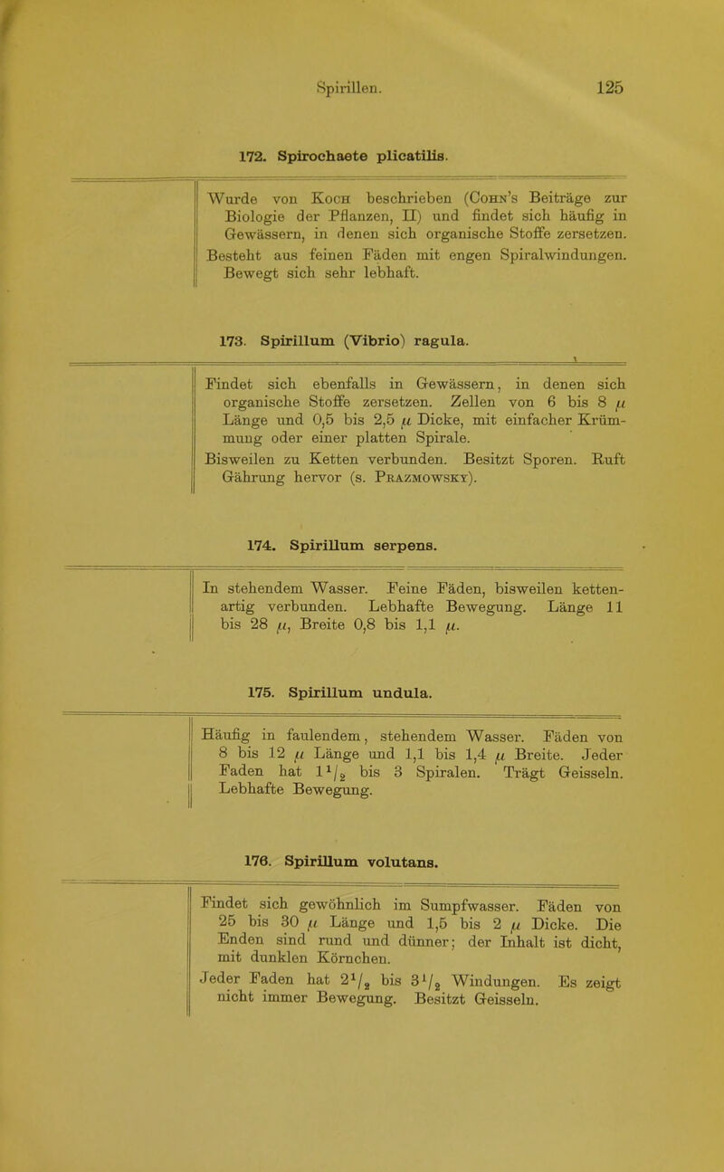 172. Spirochaete plicatilis. Wurde von Koch beschrieben (Cohn’s Beiträge zur Biologie der Pflanzen, II) und findet sich häufig in Gewässern, in denen sich organische Stoffe zersetzen. Besteht aus feinen Fäden mit engen Spiralwindungen. Bewegt sich sehr lebhaft. 173. Spirillum (Vibrio) ragula. Findet sich ebenfalls in Gewässern, in denen sich organische Stoffe zersetzen. Zellen von 6 bis 8 fi Länge und 0,5 bis 2,5 /.i Dicke, mit einfacher Krüm- mung oder einer platten Spirale. Bisweilen zu Ketten verbunden. Besitzt Sporen. Ruft Gährung hervor (s. Prazmowsky). 174. Spirillum serpens. In stehendem Wasser. Feine Fäden, bisweilen ketten- artig verbunden. Lebhafte Bewegung. Länge 11 bis 28 fi, Breite 0,8 bis 1,1 (.i. 175. Spirillum undula. Häufig in faulendem, stehendem Wasser. Fäden von 8 bis 12 j_i Länge und 1,1 bis 1,4 /.t Breite. Jeder Faden hat 11 j 2 bis 3 Spiralen. Trägt Geissein. Lebhafte Bewegung. 176. Spirillum volutans. Findet sich gewöhnlich im Sumpfwasser. Fäden von 25 bis 30 /u Länge und 1,5 bis 2 /u Dicke. Die Enden sind rund und dünner; der Inhalt ist dicht, mit dunklen Körnchen. Jeder Faden hat 21/2 bis 3*/2 Windungen. Es zeigt nicht immer Bewegung. Besitzt Geissein.