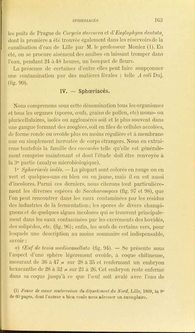 les puits de Prague de Corycia stercorea et d’Euglophysa dentatat dont la première a été trouvée également dans les réservoirs de la canalisation d’eau de Lille par M. le professeur Moniez (1). En été, on se procure aisément des amibes en laissant tremper dans l'eau, pendant 24 à 48 heures, un bouquet de fleurs. La présence de certaines d’entre elles peut faire soupçonner une contamination par des matières fécales : telle A coli Duj. (fig. 90). IV. — Sphœriaeés. Nous comprenons sous cette dénomination tous les organismes et tous les organes (spores, œufs, grains de pollen, etc) mono- ou pluricellulaires, isolés ou agglomérés soit et le plus souvent dans une gangue formant des zooglées, soit en files de cellules accolées, de forme ronde ou ovoïde plus ou moins régulière et à membrane nue ou simplement incrustée de corps étrangers. Nous en extrai- rons toutefois la famille des cocccicée.s- telle qu’elle est générale- ment comprise maintenant et dont l’étude doit être renvoyée à la 3e partie (analyse microbiologique). 1° Sphœriaeés isolés. — La plupart sont colorés en rouge ou en vert et quelques-uns en bleu ou en jaune, mais il en est aussi d’incolores. Parmi ces derniers, nous citerons tout particulière- ment les diverses espèces de Saccharomyces (fig. 97 et 98), que l’on peut rencontrer dans les eaux contaminées par les résidus des industries de la fermentation ; les spores de divers champi- gnons et de quelques algues incolores qui se trouvent principale- ment dans les eaux contaminées par les excréments des bovidés, des solipèdes, etc. (fig. 96); enfin, les œufs de certains vers, pour lesquels une description au moins sommaire est indispensable, savoir : a) Œuf de ténia mediocanellata (fig. 94). — Se présente sous l’aspect d’une sphère légèrement ovoïde, à coque chitineuse, mesurant de 36 à 47 ^ sur 28 à 35 et renfermant un embryon hexacanthe de 28 à 32 ^ sur 23 à 26. Cet embryon reste enfermé dans sa coque jusqu’à ce que l’œuf soit avalé avec l’eau de (1) Faune de seaux souterraines du département du Nord, Lille, 1889, in 8° de 60 pages, dont l’auteur a bien voulu nous adresser un exemplaire.