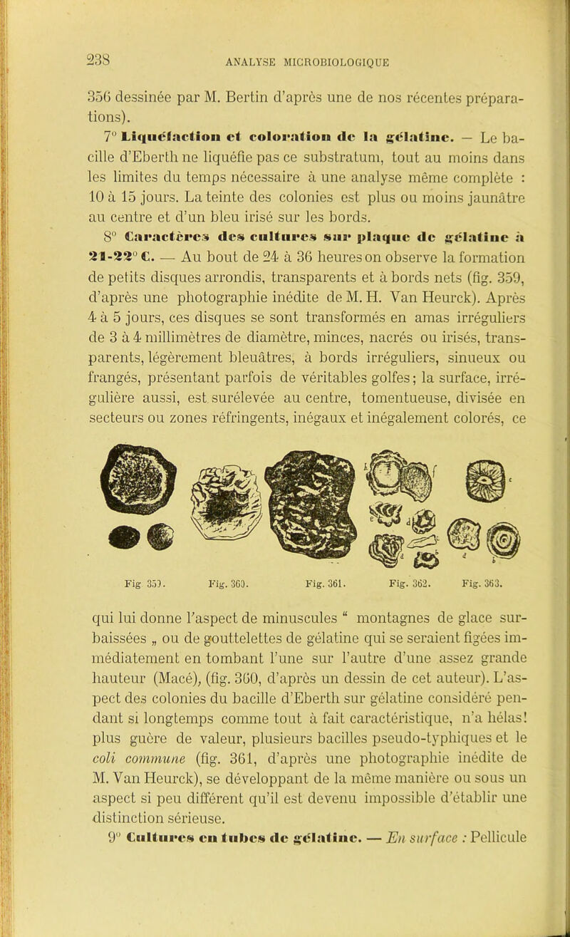 356 dessinée par M. Bertin d’après une de nos récentes prépara- tions). 7° Liquéfaction et coloration de la gélatine. — Le ba- cille d’Eberth ne liquéfie pas ce substratum, tout au moins dans les limites du temps nécessaire à une analyse même complète : 10 à 15 jours. La teinte des colonies est plus ou moins jaunâtre au centre et d’un bleu irisé sur les bords. 8° Caractères des cultures sur plaque de gélatine à 2B-22°C. — Au bout de 24 à 36 heures on observe la formation de petits disques arrondis, transparents et abords nets (fig. 359, d’après une photographie inédite de M. H. Van Heurck). Après 4 à 5 jours, ces disques se sont transformés en amas irréguliers de 3 à 4 millimètres de diamètre, minces, nacrés ou irisés, trans- parents, légèrement bleuâtres, à bords irréguliers, sinueux ou frangés, présentant parfois de véritables golfes ; la surface, irré- gulière aussi, est surélevée au centre, tomentueuse, divisée en secteurs ou zones réfringents, inégaux et inégalement colorés, ce Fig 353. Fig. 360. Fig. 361. Fig. 362. Fig. 363. qui lui donne l'aspect de minuscules “ montagnes de glace sur- baissées „ ou de gouttelettes de gélatine qui se seraient figées im- médiatement en tombant l’une sur l’autre d’une assez grande hauteur (Macé), (fig. 360, d’après un dessin de cet auteur). L’as- pect des colonies du bacille d’Eberth sur gélatine considéré pen- dant si longtemps connue tout à fait caractéristique, n’a hélas! plus guère de valeur, plusieurs bacilles pseudo-typhiques et le coli commune (fig. 361, d’après une photographie inédite de M. Van Heurck), se développant de la même manière ou sous un aspect si peu différent qu’il est devenu impossible d’établir une distinction sérieuse. 9° Cultures eu tubes «le gélatine. — En surface : Pellicule