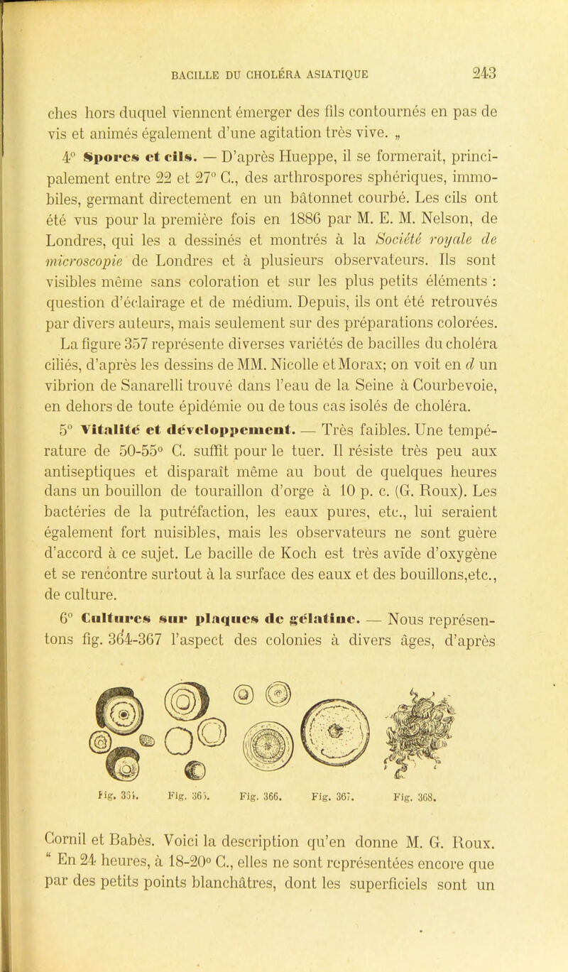 clics hors duquel viennent émerger des fils contournés en pas de vis et animés également d’une agitation très vive. „ 4° Spores et eils. — D’après Hueppe, il se formerait, princi- palement entre 22 et 27° C., des arthrospores sphériques, immo- biles, germant directement en un bâtonnet courbé. Les cils ont été vus pour la première fois en 1886 par M. E. M. Nelson, de Londres, qui les a dessinés et montrés à la Société royale de microscopie de Londres et à plusieurs observateurs. Ils sont visibles môme sans coloration et sur les plus petits éléments : question d’éclairage et de médium. Depuis, ils ont été retrouvés par divers auteurs, mais seulement sur des préparations colorées. La figure 357 représente diverses variétés de bacilles du choléra ciliés, d’après les dessins de MM. Nicolle etMorax; on voit en d un vibrion de Sanarelli trouvé dans l’eau de la Seine à Courbevoie, en dehors de toute épidémie ou de tous cas isolés de choléra. 5° vitalité et développement. — Très faibles. Une tempé- rature de 50-55° C. suffit pour le tuer. Il résiste très peu aux antiseptiques et disparaît même au bout de quelques heures dans un bouillon de touraillon d’orge à 10 p. c. (G. Roux). Les bactéries de la putréfaction, les eaux pures, etc., lui seraient également fort nuisibles, mais les observateurs ne sont guère d’accord à ce sujet. Le bacille de Koch est très avide d’oxygène et se rencontre surtout à la surface des eaux et des bouillons,etc., de culture. 6° Cultures sur plaques tic gélatine. — Nous représen- tons fig. 3(^4-367 l’aspect des colonies à divers âges, d’après Cornil et Babès. Voici la description qu’en donne M. G. Roux. “ En 24 heures, à 18-20° C., elles ne sont représentées encore que par des petits points blanchâtres, dont les superficiels sont un