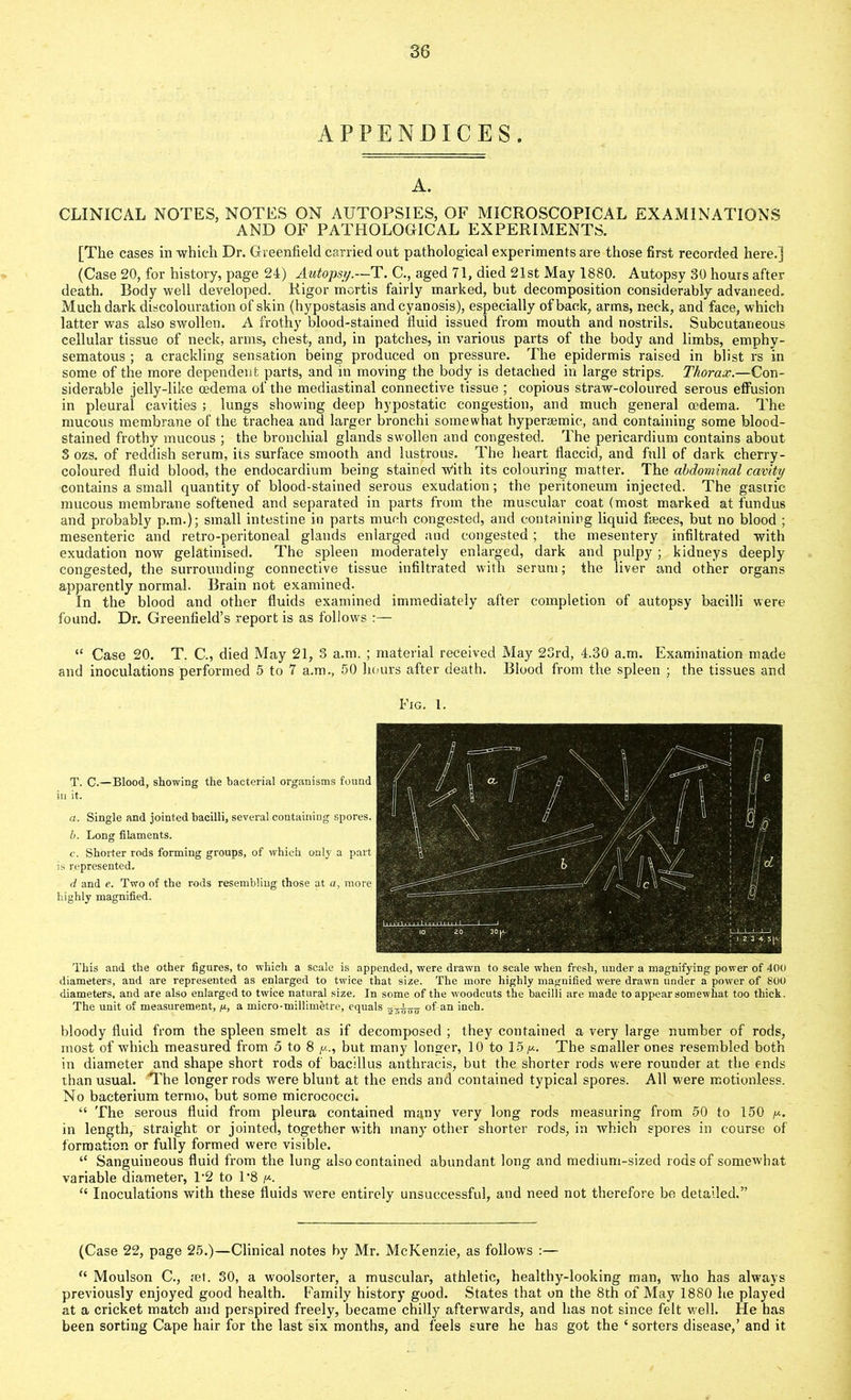 38 APPENDICES. A. CLINICAL NOTES, NOTES ON AUTOPSIES, OF MICROSCOPICAL EXAMINATIONS AND OF PATHOLOGICAL EXPERIMENTS. [The cases in which Dr. Greenfield carried out pathological experiments are those first recorded here.] (Case 20, for history, page 24) Autopsy.—T. C., aged 71, died 21st May 1880. Autopsy 30 hours after death. Body well developed. Rigor mortis fairly marked, but decomposition considerably advanced. Much dark discolouration of skin (hypostasis and cyanosis), especially of back, arms, neck, and face, which latter was also swollen. A frothy blood-stained fluid issued from mouth and nostrils. Subcutaneous cellular tissue of neck, arms, chest, and, in patches, in various parts of the body and limbs, emphy- sematous ; a crackling sensation being produced on pressure. The epidermis raised in blist rs in some of the more dependent parts, and in moving the body is detached in large strips. Thorax.—Con- siderable jelly-like oedema of the mediastinal connective tissue ; copious straw-coloured serous effusion in pleural cavities ; lungs showing deep hypostatic congestion, and much general oedema. The mucous membrane of the trachea and larger bronchi somewhat hypersemic, and containing some blood- stained frothy mucous ; the bronchial glands swollen and congested. The pericardium contains about 3 ozs. of reddish serum, its surface smooth and lustrous. The heart flaccid, and full of dark cherry- coloured fluid blood, the endocardium being stained w’ith its colouring matter. The abdominal cavity contains a small quantity of blood-stained serous exudation ; the peritoneum injected. The gastric mucous membrane softened and separated in parts from the muscular coat (most marked at fundus and probably p.m.); small intestine in parts much congested, and containing liquid faeces, but no blood ; mesenteric and retro-peritoneal glands enlarged and congested ; the mesentery infiltrated with exudation now gelatinised. The spleen moderately enlarged, dark and pulpy ; kidneys deeply congested, the surrounding connective tissue infiltrated with serum; the liver and other organs apparently normal. Brain not examined. In the blood and other fluids examined immediately after completion of autopsy bacilli were found. Dr. Greenfield’s report is as follows :— “ Case 20. T. C., died May 21, 3 a.m. ; material received May 23rd, 4.30 a.m. Examination made and inoculations performed 5 to 7 a.m., 50 hours after death. Blood from the spleen ; the tissues and T. C.—Blood, showing the bacterial organisms found in it. a. Single and jointed bacilli, several containing spores. b. Long filaments. c. Shorter rods forming groups, of which only a part is represented. d and e. Two of the rods resembling those at a, more highly magnified. This and the other figures, to which a scale is appended, were drawn to scale when fresh, under a magnifying power of 400 diameters, and are represented as enlarged to twice that size. The more highly magnified were drawn under a power of 800 diameters, and are also enlarged to twice natural size. In some of the woodcuts the bacilli are made to appear somewhat too thick. The unit of measurement, /*, a micro-millimetre, equals of-an inch. bloody fluid from the spleen smelt as if decomposed ; they contained a very large number of rods, most of which measured from 5 to 8 yc., but many longer, 10 to 15 //.. The smaller ones resembled both in diameter and shape short rods of bacillus anthracis, but the shorter rods were rounder at the ends than usual. The longer rods were blunt at the ends and contained typical spores. All were motionless. No bacterium termo, but some micrococci. “ The serous fluid from pleura contained many very long rods measuring from 50 to 150 in length, straight or jointed, together with many other shorter rods, in which spores in course of formation or fully formed were visible. “ Sanguineous fluid from the lung also contained abundant long and medium-sized rods of somewhat variable diameter, 1'2 to 1*8 p. “ Inoculations with these fluids were entirely unsuccessful, and need not therefore be detailed.” Fig. 1. (Case 22, page 25.)—Clinical notes by Mr. McKenzie, as follows :— “ Moulson C., mt. 30, a woolsorter, a muscular, athletic, healthy-looking man, who has always previously enjoyed good health. Family history good. States that on the 8th of May 1880 he played at a cricket match and perspired freely, became chilly afterwards, and has not since felt well. He has been sorting Cape hair for the last six months, and feels sure he has got the ‘ sorters disease,’ and it