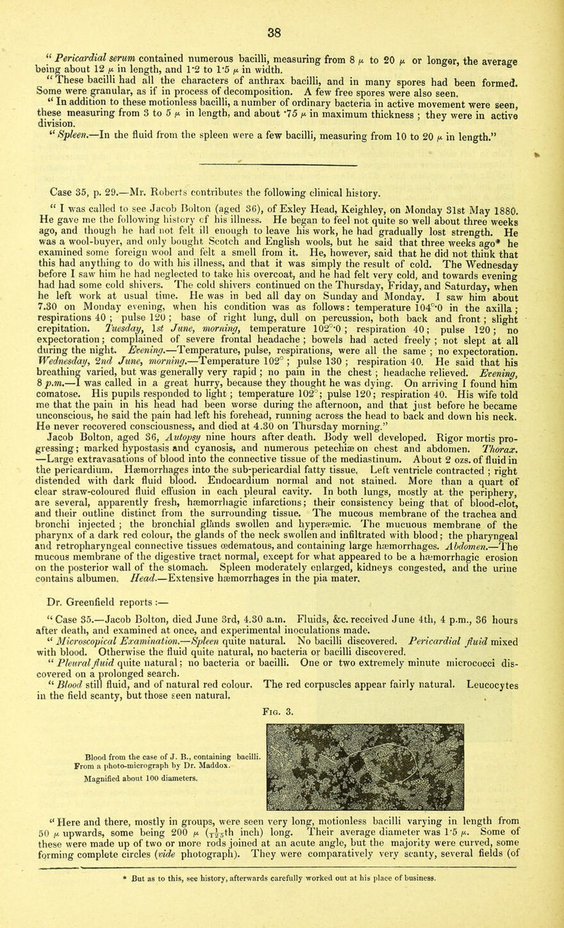 “ Pericardial serum contained numerous bacilli, measuring from 8 ^ to 20 y or longer, the average being about 12 y in length, and 1*2 to 1’5 y in width. “ These bacilli had all the characters of anthrax bacilli, and in many spores had been formed. Some were granular, as if in process of decomposition. A few free spores were also seen. “ In addition to these motionless bacilli, a number of ordinary bacteria in active movement were seen, these measuring from 3 to 5 y in length, and about '75 y in maximum thickness ; they were in active division. “ Spleen.—In the fluid from the spleen were a few bacilli, measuring from 10 to 20 y in length.” Case 35, p. 29.—Mr. Roberts contributes the following clinical history. “ I was called to see Jacob Bolton (aged 36), of Exley Head, Keighley, on Monday 31st May 1880. He gave me the following history cf his illness. He began to feel not quite so well about three weeks ago, and though he had not felt ill enough to leave his work, he had gradually lost strength. He was a wool-buyer, and only bought Scotch and English wools, but he said that three weeks ago* he examined some foreign wool and felt a smell from it. He, however, said that he did not think that this had anything to do with his illness, and that it was simply the result of cold. The Wednesday before I saw him he had neglected to take ins overcoat, and he had felt very cold, and towards evening had had some cold shivers. The cold shivers continued on the Thursday, Friday, and Saturday, when he left work at usual time. He was in bed all day on Sunday and Monday. I saw him about 7.30 on Monday evening, when his condition was as follows: temperature 104°*0 in the axilla; respirations 40 ; pulse 120 ; base of right lung, dull on percussion, both back and front; slight crepitation. Tuesday, ls£ June, morning, temperature 102o-0 ; respiration 40; pulse 120; no expectoration; complained of severe frontal headache ; bowels had acted freely ; not slept at all during the night. Evening.—Temperature, pulse, respirations, were all the same ; no expectoration. Wednesday, 2nd June, morning.—Temperature 102° ; pulse 130 ; respiration 40. He said that his breathing varied, but was generally very rapid; no pain in the chest; headache relieved. Evening, 8 p.m.—I was called in a great hurry, because they thought he was dying. On arriving I found him comatose. His pupds responded to light; temperature 102°; pulse 120; respiration 40. His wife told me that the pain in his head had been worse during the afternoon, and that just before he became unconscious, he said the pain had left his forehead, running across the head to back and down his neck. He never recovered consciousness, and died at 4.30 on Thursday morning.” Jacob Bolton, aged 36, Autopsy nine hours after death. Body well developed. Rigor mortis pro- gressing ; marked hypostasis and cyanosis, and numerous petechise on chest and abdomen. Thorax. —Large extravasations of blood into the connective tissue of the mediastinum. About 2 ozs. of fluid in the pericardium. Haemorrhages into the sub-pericardial fatty tissue, Left ventricle contracted ; right distended with dark fluid blood. Endocardium normal and not stained. More than a quart of clear straw-coloured fluid effusion in each pleural cavity. In both lungs, mostly at the periphery, are several, apparently fresh, haemorrhagic infarctions; their consistency being that of blood-clot, and their outline distinct from the surrounding tissue. The mucous membrane of the trachea and bronchi injected ; the bronchial glands swollen and hyperaemic. The mucuous membrane of the pharynx of a dark red colour, the glands of the neck swollen and infiltrated with blood; the pharyngeal and retropharyngeal connective tissues oedematous, and containing large haemorrhages. Abdomen.—The mucous membrane of the digestive tract normal, except for what appeared to be a haemorrhagic erosion on the posterior wall of the stomach. Spleen moderately enlarged, kidneys congested, and the urine contains albumen. Head.—Extensive haemorrhages in the pia mater. Dr. Greenfield reports “Case 35.—Jacob Bolton, died June 3rd, 4.30 a.m. Fluids, &c. received June 4th, 4 p.m., 36 hours after death, and examined at once, and experimental inoculations made. “ Microscopical Examination.—Spleen quite natural. No bacilli discovered. Pericardial fluid mixed with blood. Otherwise the fluid quite natural, no bacteria or bacilli discovered. “ Pleural fluid quite natural; no bacteria or bacilli. One or two extremely minute micrococci dis- covered on a prolonged search. “ Blood still fluid, and of natural red colour. The red corpuscles appear fairly natural. Leucocytes in the field scanty, but those seen natural. Fig. 3. Blood from the case of J. B., containing bacilli. From a photo-micrograph by Dr. Maddox. Magnified about 100 diameters. “ Here and there, mostly in groups, were seen very long, motionless bacilli varying in length from 50 //.upwards, some being 200 y (x^th inch) long. Their average diameter was 1 '5 y. Some of these were made up of two or more rods joined at an acute angle, but the majority were curved, some forming complete circles (vide photograph). They were comparatively very scanty, several fields (of But as to this, see history, afterwards carefully worked out at his place of business.