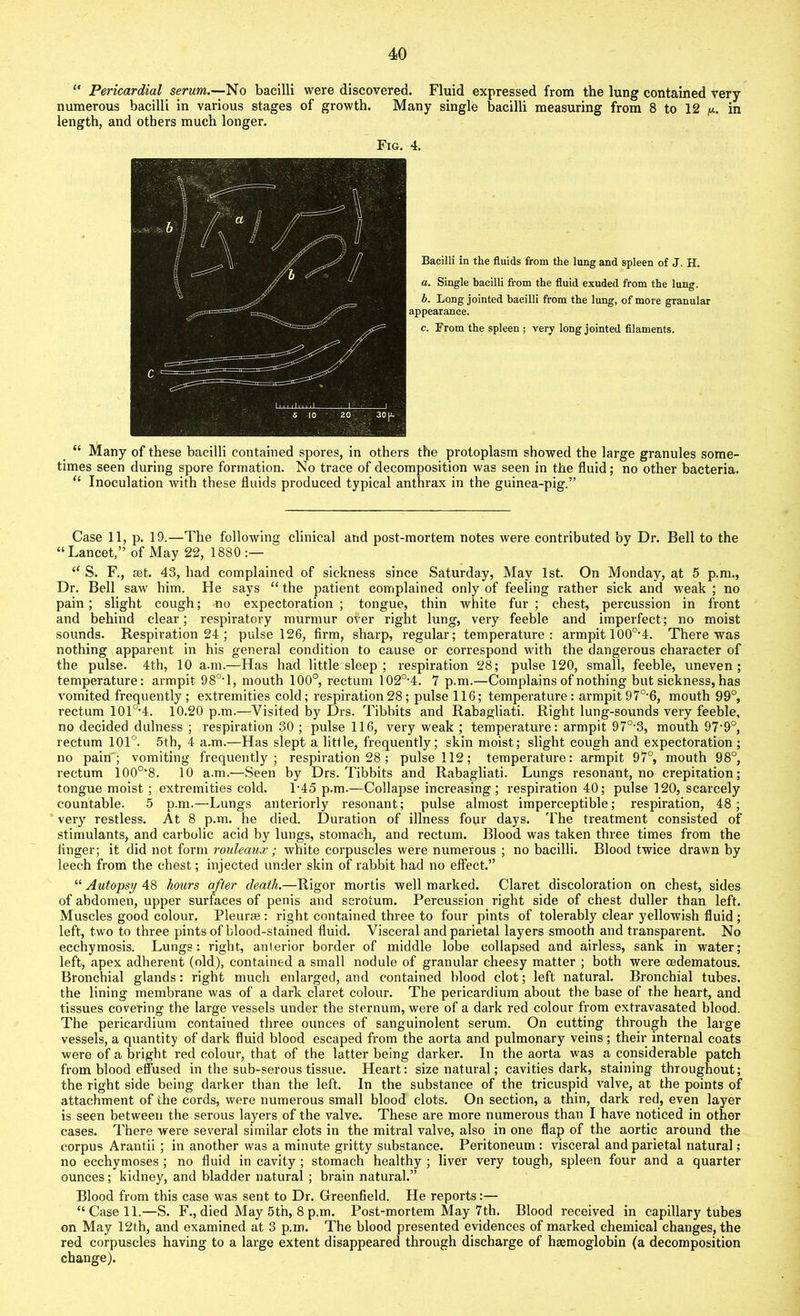 “ Pericardial serum.—No bacilli were discovered. Fluid expressed from the lung contained very numerous bacilli in various stages of growth. Many single bacilli measuring from 8 to 12 y. in length, and others much longer. 4. Bacilli in the fluids from the lung and spleen of J. H. a. Single bacilli from the fluid exuded from the lung. b. Long jointed bacilli from the lung, of more granular appearance. c. From the spleen ; very long jointed filaments. “ Many of these bacilli contained spores, in others the protoplasm showed the large granules some- times seen during spore formation. No trace of decomposition was seen in the fluid; no other bacteria. “ Inoculation with these fluids produced typical anthrax in the guinea-pig.” Case 11, p. 19.—The following clinical and post-mortem notes were contributed by Dr. Bell to the “Lancet,” of May 22, 1880 :— “ S. F., set. 43, had complained of sickness since Saturday, May 1st. On Monday, at 5 p.m., Dr. Bell saw him. He says “ the patient complained only of feeling rather sick and weak ; no pain ; slight cough; no expectoration ; tongue, thin white fur ; chest, percussion in front and behind clear; respiratory murmur over right lung, very feeble and imperfect; no moist sounds. Respiration 24 ; pulse 126, firm, sharp, regular; temperature: armpit 100o,4. There was nothing apparent in his general condition to cause or correspond with the dangerous character of the pulse. 4th, 10 a.m.—Has had little sleep ; respiration 28; pulse 120, small, feeble, uneven; temperature: armpit 980,1, mouth 100°, rectum 102o,4. 7 p.m.—Complains of nothing but sickness, has vomited frequently; extremities cold; respiration 28; pulse 116; temperature: armpit 97°-6, mouth 99°, rectum 101&-4. 10.20 p.m.—Visited by Drs. Tibbits and Rabagliati. Right lung-sounds very feeble, no decided dulness ; respiration 30 ; pulse 116, very weak ; temperature: armpit 970,3, mouth 97*9°, rectum 101°. 5th, 4 a.m.—Has slept a little, frequently; skin moist; slight cough and expectoration ; no pain; vomiting frequently; respiration 28; pulse 112; temperature: armpit 97°, mouth 98°, rectum 100°‘8. 10 a.m.—Seen by Drs. Tibbits and Rabagliati. Lungs resonant, no crepitation; tongue moist ; extremities cold. T45 p.m.—Collapse increasing; respiration 40; pulse 120, scarcely countable. 5 p.m.—Lungs anteriorly resonant; pulse almost imperceptible; respiration, 48; very restless. At 8 p.m. he died. Duration of illness four days. The treatment consisted of stimulants, and carbolic acid by lungs, stomach, and rectum. Blood was taken three times from the linger; it did not form rouleaux; white corpuscles were numerous ; no bacilli. Blood twice drawn by leech from the chest; injected under skin of rabbit had no effect.” “Autopsy 48 hours after death.—Rigor mortis well marked. Claret discoloration on chest, sides of abdomen, upper surfaces of penis and scrotum. Percussion right side of chest duller than left. Muscles good colour. Pleurae : right contained three to four pints of tolerably clear yellowish fluid ; left, two to three pints of blood-stained fluid. Visceral and parietal layers smooth and transparent. No ecchymosis. Lungs: right, anterior border of middle lobe collapsed and airless, sank in water; left, apex adherent (old), contained a small nodule of granular cheesy matter ; both were cedematous. Bronchial glands: right much enlarged, and contained blood clot; left natural. Bronchial tubes, the lining membrane was of a dark claret colour. The pericardium about the base of the heart, and tissues covering the large vessels under the sternum, were of a dark red colour from extravasated blood. The pericardium contained three ounces of sanguinolent serum. On cutting through the large vessels, a quantity of dark fluid blood escaped from the aorta and pulmonary veins ; their internal coats were of a bright red colour, that of the latter being darker. In the aorta was a considerable patch from blood effused in the sub-serous tissue. Heart: size natural; cavities dark, staining throughout; the right side being darker than the left. In the substance of the tricuspid valve, at the points of attachment of the cords, were numerous small blood clots. On section, a thin, dark red, even layer is seen between the serous layers of the valve. These are more numerous than I have noticed in other cases. There were several similar clots in the mitral valve, also in one flap of the aortic around the corpus Arantii ; in another was a minute gritty substance. Peritoneum : visceral and parietal natural; no ecchymoses ; no fluid in cavity ; stomach healthy ; liver very tough, spleen four and a quarter ounces; kidney, and bladder natural ; brain natural.” Blood from this case was sent to Dr. Greenfield. He reports:— “Case 11.—S. F., died May 5th, 8 p.m. Post-mortem May 7 th. Blood received in capillary tubes on May 12th, and examined at 3 p.m. The blood presented evidences of marked chemical changes, the red corpuscles having to a large extent disappeared through discharge of haemoglobin (a decomposition change). Fig.