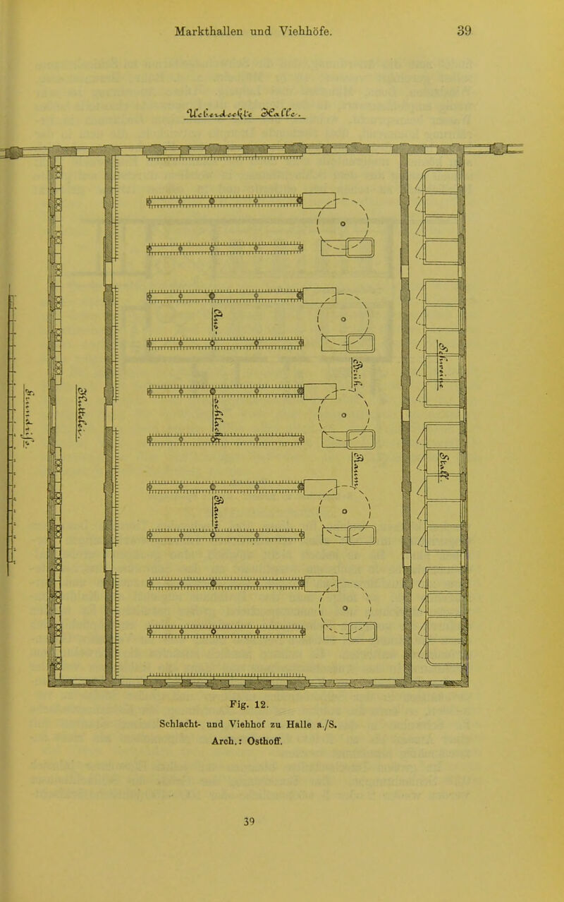 c\£cl’tiJic-cQt'e CCc. Fig. 12. Schlacht- und Viehhof zu Halle a./S. Arch,: Osthoff. 39