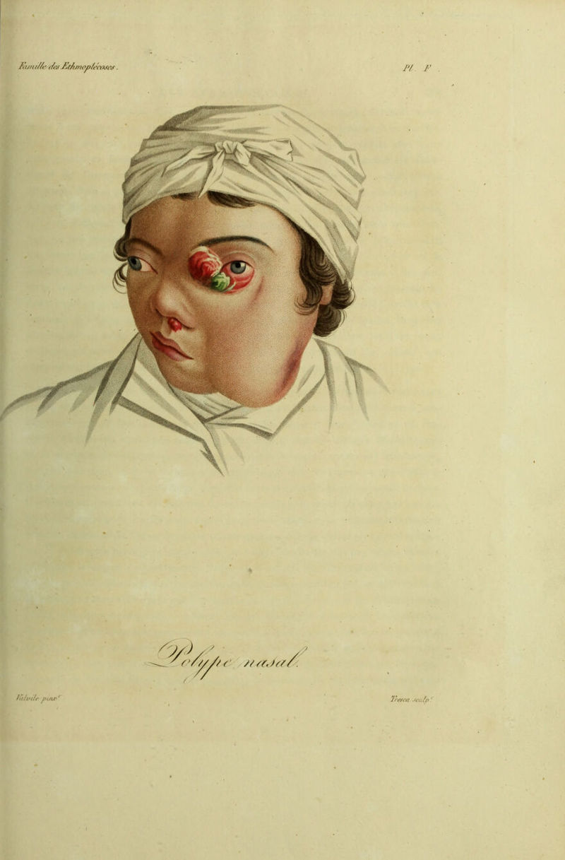 Ih/ni/le (/es Ft/wwp/ecoses. IV F ’/rescd .ta;!o'.