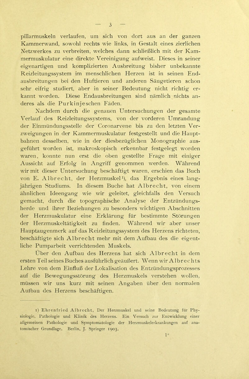 pillarmuskeln verlaufen, um sich von dort aus an der ganzen Kammerwand, sowohl rechts wie links, in Gestalt eines zierlichen Netzwerkes zu verbreiten, welches dann schließlich mit der Kam- mermuskulatur eine direkte Vereinigung aufweist. Dieses in seiner eigenartigen und komplizierten Ausbreitung bisher unbekannte Reizleitungssystem im menschlichen Herzen ist in seinen End- ausbreitungen bei den Huftieren und anderen Säugetieren schon sehr eifrig studiert, aber in seiner Bedeutung nicht richtig er- kannt worden. Diese Endausbreitungen sind nämlich nichts an- deres als die Purk inj eschen Fäden. Nachdem durch die genauen Untersuchungen der gesamte Verlauf des Reizleitungssystems, von der vorderen Umrandung der Einmündungsstelle der Coronarvene bis zu den letzten Ver- zweigungen in der Kammermuskulatur festgestellt und die Haupt- bahnen desselben, wie in der diesbezüglichen Monographie aus- geführt worden ist, makroskopisch erkennbar festgelegt worden waren, konnte nun erst die oben gestellte Frage mit einiger Aussicht auf Erfolg in Angriff genommen werden. Während wir mit dieser Untersuchung beschäftigt waren, erschien das Buch von E. Albrecht, der Herzmuskel1), das Ergebnis eines lang- jährigen Studiums. In diesem Buche hat Albrecht, von einem ähnlichen Ideengang wie wir geleitet, gleichfalls den Versuch gemacht, durch die topographische Analyse der Entzündungs- herde und ihrer Beziehungen zu besonders wichtigen Abschnitten der Herzmuskulatur eine Erklärung für bestimmte Störungen der Herzmuskeltätigkeit zu finden. Während wir aber unser Hauptaugenmerk auf das Reizleitungssystem des Herzens richteten, beschäftigte sich Albrecht mehr mit dem Aufbau des die eigent- liche Pumparbeit verrichtenden Muskels. Über den Aufbau des Herzens hat sich Albrecht in dem ersten Teil seinesBuches ausführlich geäußert. Wenn wir Albrechts Lehre von dem Einfluß der Lokalisation des Entzündungsprozesses auf die Bewegungsstörung des Herzmuskels verstehen wollen, müssen wir uns kurz mit seinen Angaben über den normalen Auibau des Herzens beschäftigen. i) Ehrenfried Albrecht, Der Herzmuskel und seine Bedeutung für Phy- siologie. Pathologie und Klinik des Herzens. Ein Versuch zur Entwicklung einer allgemeinen Pathologie und Symptomatologie der Herzmuskelerkrankungen auf ana- tomischer Grundlage. Berlin, J. Springer 1903. 1*