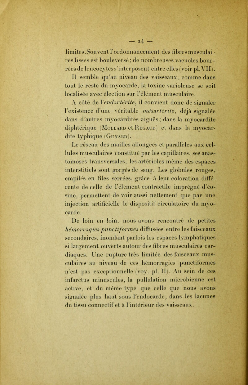 limiles.Soiivenl l’ordonnancemenl des libresmusculai - res lisses est bouleversé ; de nombreuses vacuoles bour- rées de leucocytess’interposeiit entre elles (voir Il semble cpi’au nivean des vaisseaux, comme dans tout le reste du myocarde, la toxine varioleuse se soit localisée avec élection sur l’élément muscnlaire. A côté de Vendurtérite, il convient donc de signaler l’existence d’une véritable mésartêrite, déjà signalée dans d’autres myocardites aiguës; dans la myocardite diphtéricpie (Mollaud et llnuAun) et dans la myocar- dite typhique (Guvaiîd). Le réseau des mailles allongées el parallèles aux cel- lules musculaires constitué par les capillaires, ses anas- tomoses transversales, les artérioles même des espaces interstitiels sont gorgés de sang. Les globules rouges, empilés en fdes serrées, grâce à leur coloration diffé- rente de celle de l’élément contractile imprégné d’éo- sine, permettent de voir aussi nettement que par une injection artificielle le dispositif circulatoire du myo- carde. De loin en loin, nous avons rencontré de petites hémormic/iespunctiformes diffusées entre les faisceaux secondaires, inondant parfois les espaces lymphatiques si largement ouverts autour des fibres musculaires car- diaques. Une rupture très limitée des faisceaux mus- culaires au niveau de ces hémorragies punctiformes n’est pas exceptionnelle (voy. pl. II). Au sein de ces infarctus minuscules, la pullulation microbienne est active, el du même type que celle que nous avons signalée plus haut sous l'endocarde, dans les lacunes du tissu connectif et à l’intérieur des vaisseaux.