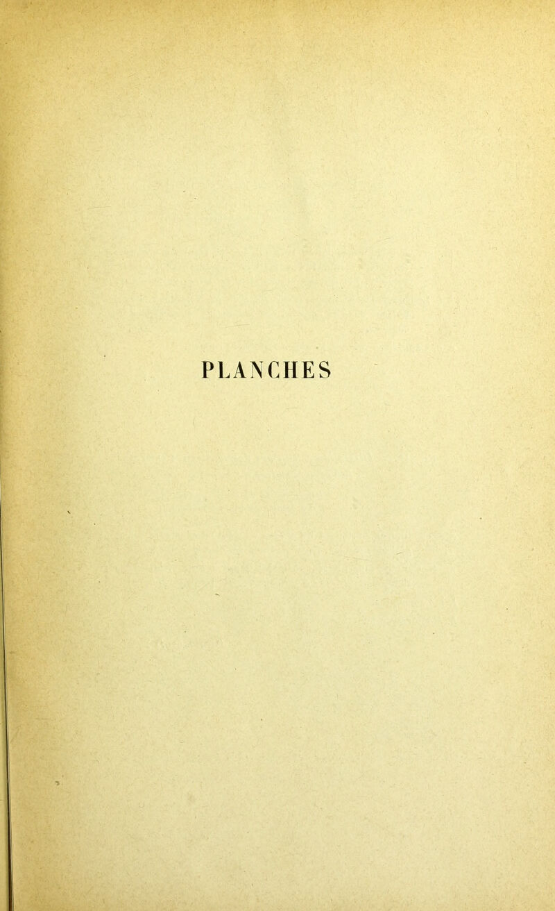 PLANCHES