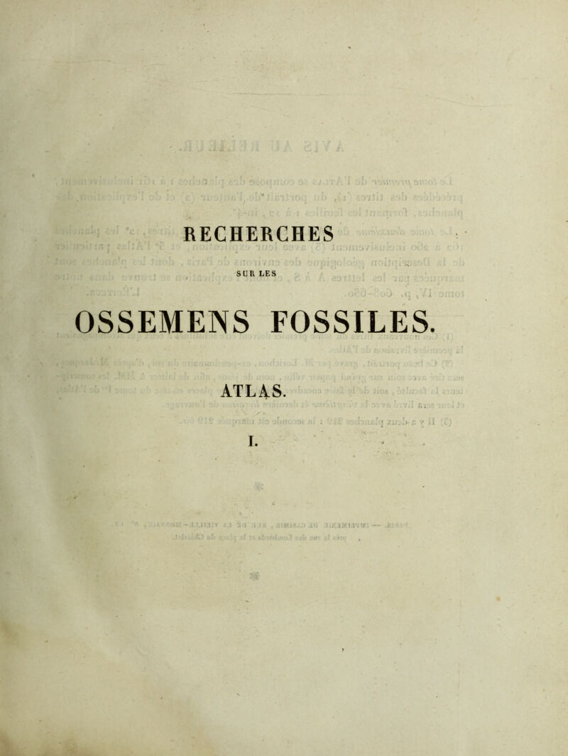 s< RECHERCHES SUR LES OSSEMENS FOSSILES. ATLAS. y r I. - I ' . M . r