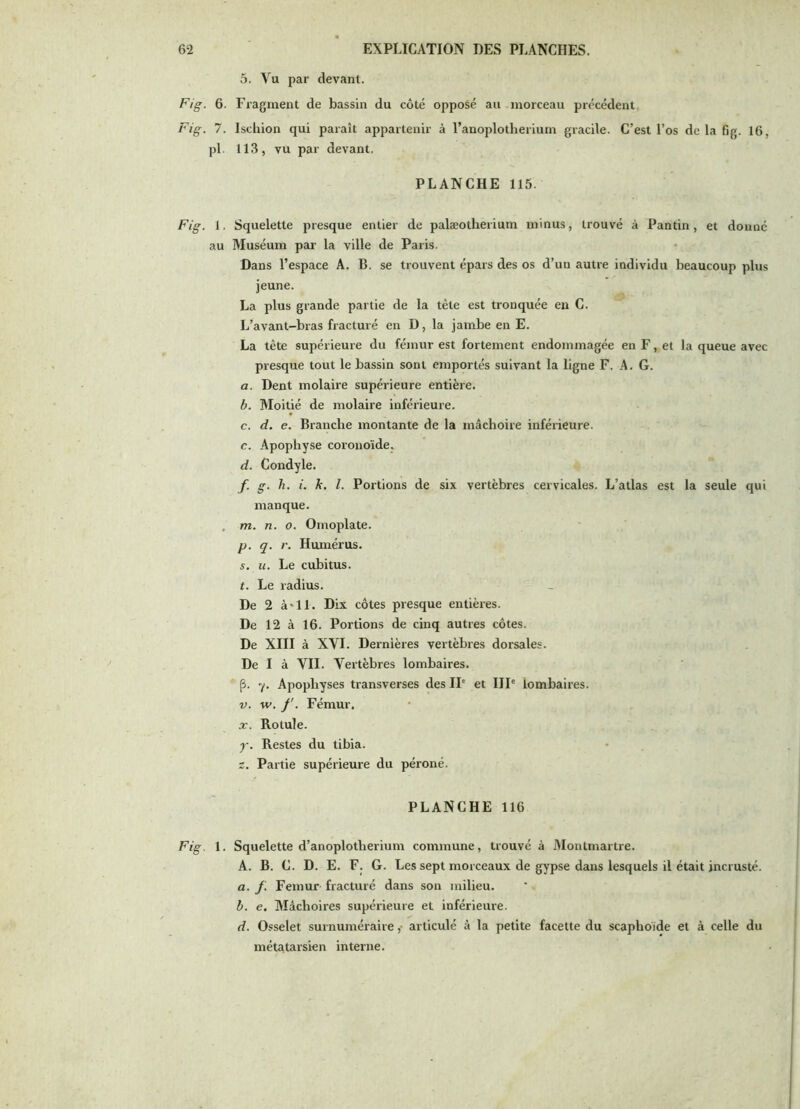 5. Vu par devant. Fig. 6. Fragment de bassin du côté opposé au morceau précédent. Fig. 7. Ischion qui paraît appartenir à l’anoplotherium gracile. C’est l’os de la 6g. 16, pl. 113, vu par devant. PLANCHE 115. Fig. i. Squelette presque entier de palæotherium minus, trouvé à Pantin, et donné au Muséum par la ville de Paris. Dans l’espace A. B. se trouvent épars des os d’un autre individu beaucoup plus jeune. La plus grande partie de la tète est tronquée eu C. L’avant-bras fracturé en D, la jambe en E. La tête supérieure du fémur est fortement endommagée en F, et la queue avec presque tout le bassin sont emportés suivant la ligne F. A. G. a. Dent molaire supérieure entière. b. Moitié de molaire inférieure. c. d. e. Branche montante de la mâchoire inférieure. c. Apophyse coronoïde, d. Condyle. f. g. h. i. k. l. Portions de six vertèbres cervicales. L’atlas est la seule qui manque. , m. n. O. Omoplate. p. q. r. Humérus. s. U. Le cubitus. t. Le radius. De 2 à*ll. Dix côtes presque entières. De 12 à 16. Portions de cinq autres côtes. De XIII à XVI. Dernières vertèbres dorsales. De I à VIL Vertèbres lombaires. p. 7. Apophyses transverses des IP et IIP lombaires. V. w. f. Fémur, X. Rotule. y. Restes du tibia. Z. Partie supérieure du péroné. PLANCHE 116 Fig. 1. Squelette d’anoplotherium commune, trouvé à Montmartre. A. B. C. D. E. F. G. Les sept morceaux de gypse dans lesquels il était incrusté. a. f. Fémur fracturé dans son milieu. h. e. Mâchoires supérieure et inférieure. d. Osselet surnuméraire ,• articulé à la petite facette du scaphoïde et à celle du métataisien interne.