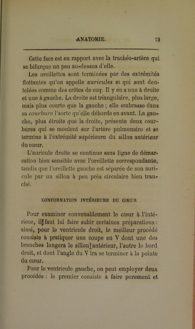 Cette face est en rapport avec la trachée-artère qui se bifurque un peu au-dessus d'elle. Les oreillettes sont terminées par des extrémités flottantes qu’on appelle auricules ei qui sont den- telées comme des crêtes de coq. Il y en aune à droite et une à gauche. La droite est triangulaire, plus large, mais plus courte que la gauche ; elle embrasse dans sa courbure l’aorte qu’elle déborde en avant. La gau- che, plus étroite que la droite, présente deux cour- bures qui se moulent sur l’artère pulmonaire et se termine à l’extrémité supérieure du sillon antérieur du cœur. L’auricule droite se continue sans ligne de démar- cation bien sensible avec l’oreillette correspondante, tandis que l’oreillette gauche est séparée de son auri- cule par un sillon à peu près circulaire bien tran- ché. CONFORMATION INTÉRIEURE DU COEUR Pour examiner convenablement le cœur à l’inté- rieur, il| faut lui faire subir certaines préparations : ainsi, pour le ventricule droit, le meilleur procédé consiste à pratiquer une coupe en V dont une des branches longera le sillon] antérieur, l’autre le bord droit, et dont l’angle du Y ira se terminer à la pointe du cœur. Pour le ventricule gauche, on peut employer deux procédés : le premier consiste à faire purement et