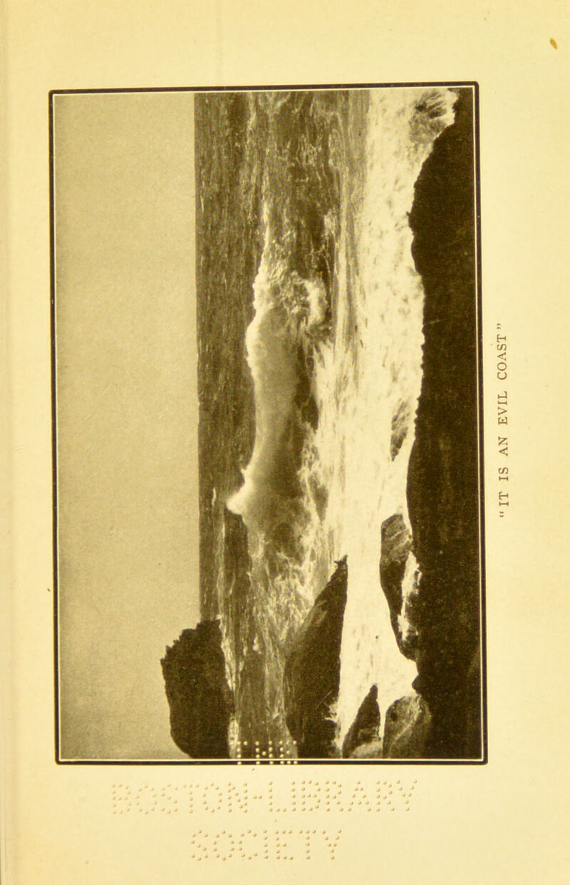 1^ I 11 I n 'THWI iHiri»r7^<l||y)f(p|rfyifi|ni Ti'l ~ fFfWTHniif '■ IT IS AN EVIL COAST