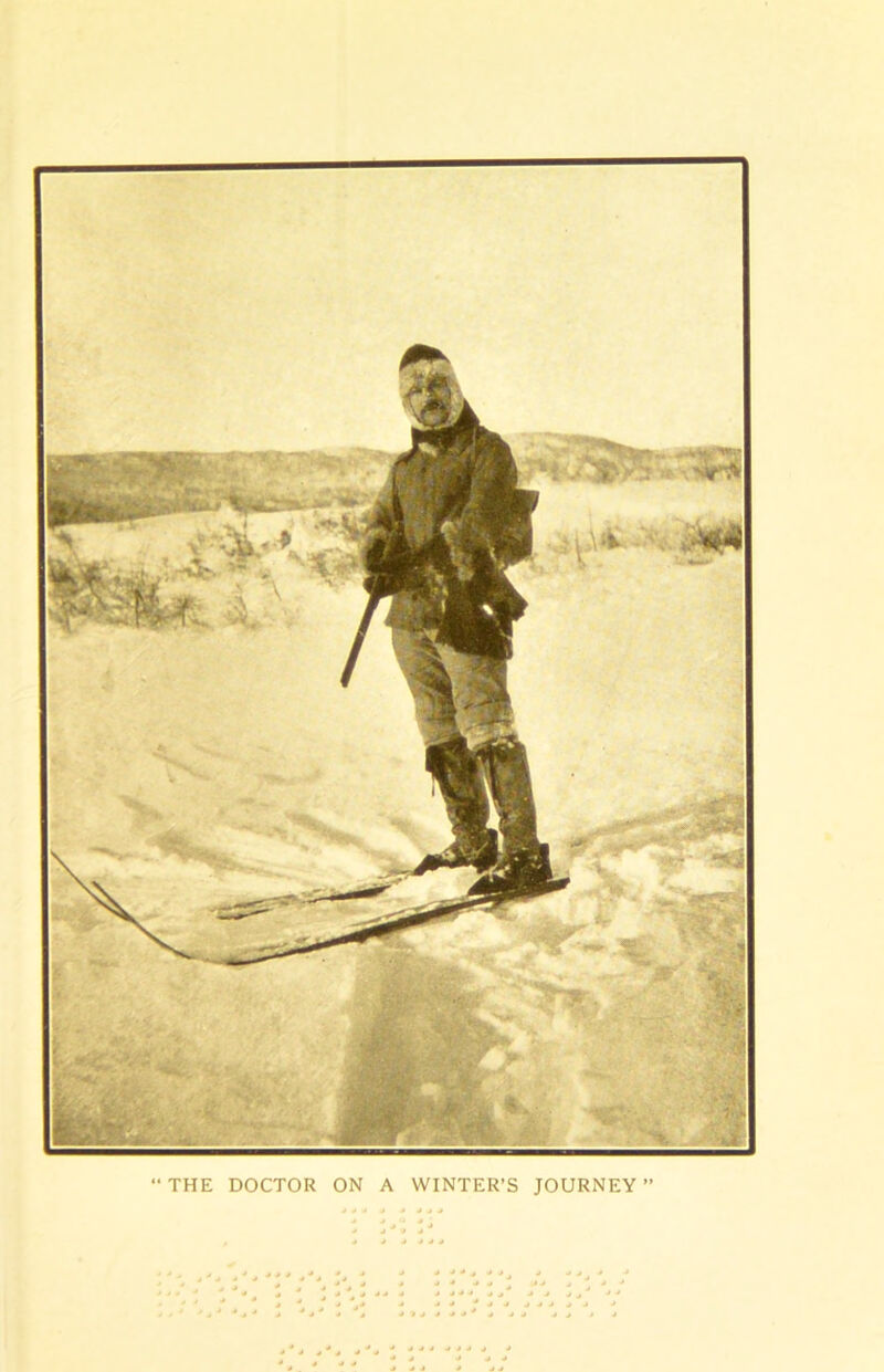THE DOCTOR ON A WINTER’S JOURNEY