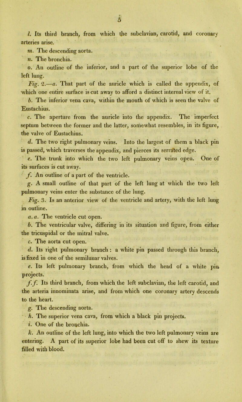 l. Its third branch, from which tjie subclavian, carotid, and coronary arteries arise. m. The descending aorta. n. The bronchia. o. An outline of the inferior, and a part of the superior lobe of the left lung. Fig. 2.—a. That part of the auricle which is called the appendix, of which one entire surface is cut away to afford a distinct internal view of it. b. The inferior vena cava, within the mouth of which is seen the valve of Eustachius. c. The aperture from the auricle into the appendix. The imperfect septum between the former and the latter, somewhat resembles, in its figure, the valve of Eustachius. d. The two right pulmonary veins. Into the largest of them a black pin is passed, which traverses the appendix, and pierces its serrated edge. e. The trunk into which the two left pulmonary veins open. One of its surfaces is cut away. f. An outline of a part of the ventricle. g. A small outline of that part of the left lung at which the two left pulmonary veins enter the substance of the lung. Fig. 3. Is an anterior view of the ventricle and artery, with the left lung in outline. a. a. The ventricle cut open. b. The ventricular valve, differing in its situation and figure, from either the tricuspidal or the mitral valve. c. The aorta cut open. d. Its right pulmonary branch: a white pin passed through this branch, is fixed in one of the semilunar valves. e. Its left pulmonary branch, from which the head of a white pin. projects. f. f. Its third branch, from which the left subclavian, the left carotid, and the arteria innominata arise, and from which one coronary artery descends to the heart. g. The descending aorta. '' h. The superior vena cava, from which a black pin projects. i. One of the bronchia. k. An outline of the left lung, into which the two left pulmonary veins are entering. A part of its superior lobe had been cut off to shew’ its texture filled with blood.