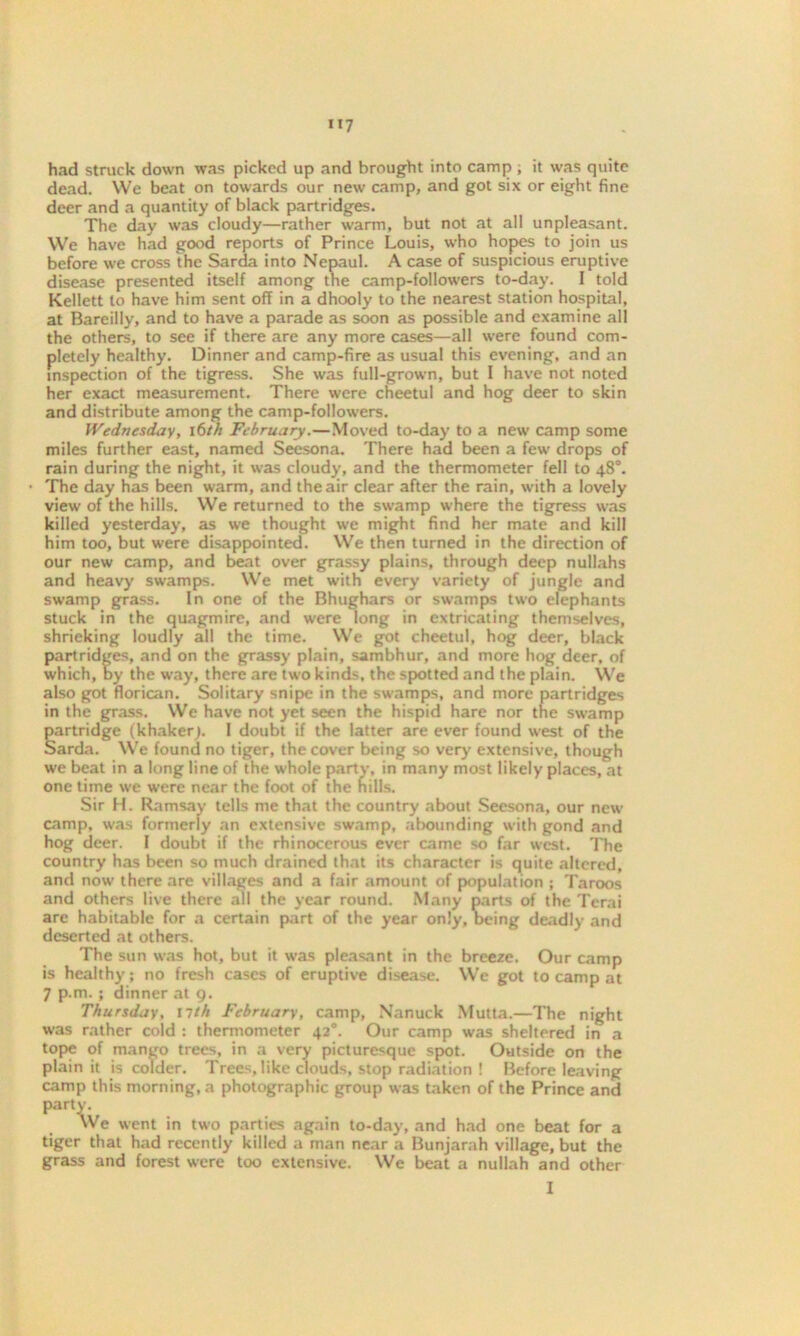 had struck down was picked up and brought into camp ; it was quite dead. We beat on towards our new camp, and got six or eight fine deer and a quantity of black partridges. The day was cloudy—rather warm, but not at all unpleasant. We have had good reports of Prince Louis, who hopes to join us before we cross the Sarda into Nepaul. A case of suspicious eruptive disease presented itself among the camp-followers to-day. I told Kellett to have him sent off in a dhooly to the nearest station hospital, at Bareilly, and to have a parade as soon as possible and examine all the others, to see if there are any more cases—all were found com- pletely healthy. Dinner and camp-fire as usual this evening, and an inspection of the tigress. She was full-grown, but I have not noted her exact measurement. There were cheetul and hog deer to skin and distribute among the camp-followers. Wednesday, 16/Zr February.—Moved to-day to a new camp some miles further east, named Seesona. There had been a few drops of rain during the night, it was cloudy, and the thermometer fell to 48°. The day has been warm, and the air clear after the rain, with a lovely view of the hills. We returned to the swamp where the tigress was killed yesterday, as we thought we might find her mate and kill him too, but were disappointed. We then turned in the direction of our new camp, and beat over grassy plains, through deep nullahs and heavy swamps. We met with every variety of jungle and swamp grass. In one of the Bhughars or swamps two elephants stuck in the quagmire, and were long in extricating themselves, shrieking loudly all the time. We got cheetul, hog deer, black partridges, and on the grassy plain, sambhur, and more hog deer, of which, by the way, there are two kinds, the spotted and the plain. We also got florican. Solitary snipe in the swamps, and more partridges in the grass. We have not yet seen the hispid hare nor tne swamp partridge (khakerj. 1 doubt if the latter are ever found west of the Sarda. We found no tiger, the cover being so very extensive, though we beat in a long line of the whole party, in many most likely places, at one time we were near the foot of the hills. Sir H. Ramsay tells me that the country about Seesona, our new camp, was formerly an extensive swamp, abounding with gond and hog deer. I doubt if the rhinocerous ever came so far west. The country has been so much drained that its character is quite altered, and now there are villages and a fair amount of population ; Taroos and others live there all the year round. Many parts of the Tcrai are habitable for a certain part of the year only, Being deadly and deserted at others. The sun was hot, but it was pleasant in the breeze. Our camp is healthy; no fresh cases of eruptive disease. We got to camp at 7 p.m.; dinner at 9. Thursday, nth February, camp, Nanuck Mutta.—The night was rather cold : thermometer 420. Our camp was sheltered in a tope of mango trees, in a very picturesque spot. Outside on the plain it is colder. Trees, like clouds, stop radiation ! Before leaving camp this morning, a photographic group was taken of the Prince and party. We went in two parties again to-day, and had one beat for a tiger that had recently killed a man near a Bunjarah village, but the grass and forest were too extensive. We beat a nullah and other