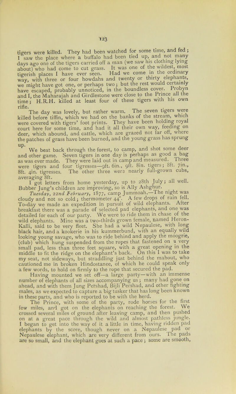 tigers were killed. They had been watched for some time, and fed ; I saw the place where a buffalo had been tied up, and not many days ago one of the tigers carried off a man (we saw his clothing lying about) who had come to cut grass. It was one of the wildest, most tigerish places I have ever seen. Had we come in the ordinary way, with three or four howdahs and twenty or thirty elephants, we might have got one, or perhaps two ; but the rest would certainly have escaped, probably unnoticed, in the boundless cover. Probyn and I, the Maharajah and Girdlestone were close to the Prince all the time; H.R.H. killed at least four of these tigers with his own rifle. The day was lovely, but rather warm. The seven tigers were killed before tiffin, which we had on the banks of the stream, which were covered with tigers’ foot prints. They have been holding royal court here for some time, and had it all their own way, feeding on deer, which abound, and cattle, which are grazed not far off, where the patches of grass have been burned, and the young grass has sprung We beat back through the forest, to camp, and shot some deer and other game. Seven tigers in one day is perhaps as good a bag as was ever made. They were laid out in camp and measured.^ Three were tigers and four tigresses—9ft. 6in., 9ft. 8in. tigers; Sft. 7m., 8ft. 4m. tigresses. The other three were nearly full-grown cubs, averaging Sft. I got letters from home yesterday, up to 28th July; all well. Bubber Jung’s children are improving, so is Ally Ashghur. Tuesday, 22nd February, 1877, camp Jummoah. The night was cloudy and not so cold; thermometer 44°. A few drops of rain fell. To-day we made an expedition in pursuit of wild elephants. After breakfast there was a parade of selected pad elephants, and one was detailed for each of our party. We were to ride them in chase of the wild elephants. Mine was a two-thirds grown female, named Heron- Kalli, said to be very fleet. She had a wild Nepaulese, with long black hair, and a kookerie in his kummerbund, with an equally wild looking young savage, who was to ride behind and apply the moogrie, (club) which hung suspended from the ropes that fastened on a very small pad, less than three feet square, with a great opening in the middle to fit the ridge on the elephant’s back. On this I was to take my seat, not sideways, but straddling just behind the mahout, who cautioned me in broken Hindostanee, of which he could speak only a few words, to hold on firmly to the rope that secured the pad. Having mounted we set off—a large party — with an immense number of elephants of all sizes accompanying us; many had gone on ahead, and with them Jung Petshad, Bijli Pershad, and other fighting males, as we expected to capture a big tusker that has long been known in these parts, and who is reported to be with the herd. The Prince, with some of the party, rode horses for the first few miles, and got on the elephants on reaching the forest. We crossed several miles of ground after leaving camp, and then pushed on at a great pace through the wild and almost pathless jungle. I began to get into the way of it a little in time, having ridden pad elephants by the score, though never on a Nepaulese pad or Nepaulese elephant, which are very different from ours, lhe pads are so small, and the elephant goes at such a pace; some are smooth,