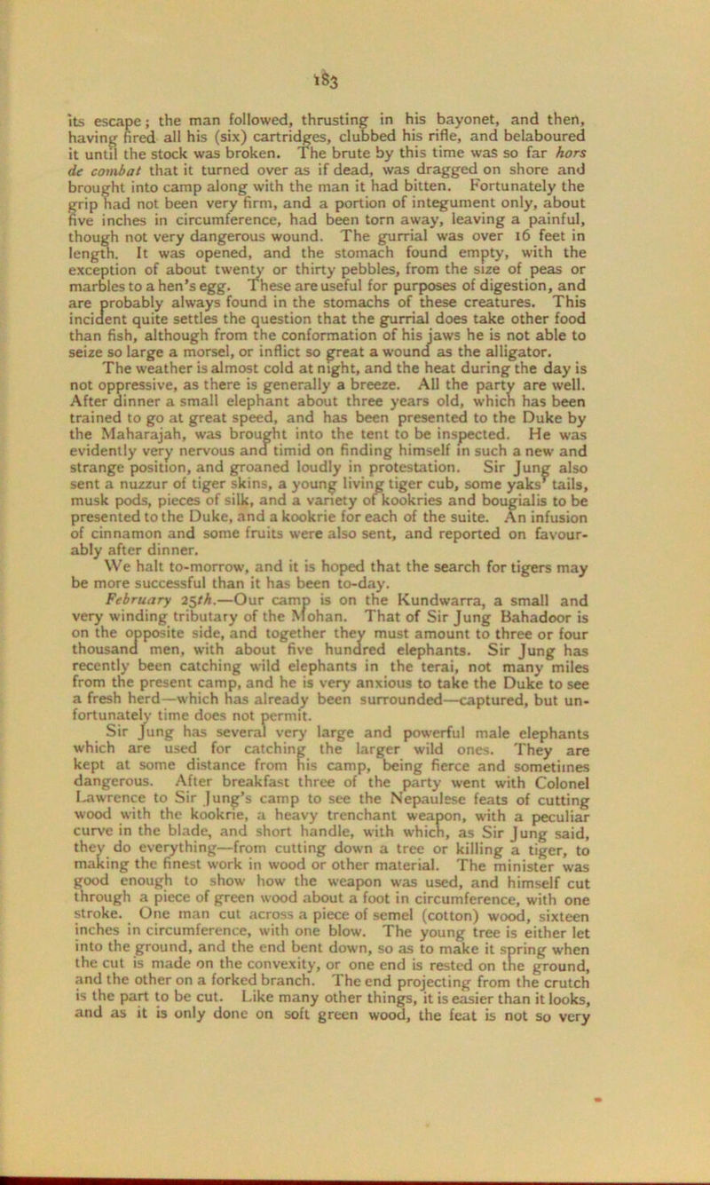 its escape; the man followed, thrusting in his bayonet, and then, having fired all his (six) cartridges, clubbed his rifle, and belaboured it until the stock was broken. The brute by this time was so far hors de combat that it turned over as if dead, was dragged on shore and brought into camp along with the man it had bitten. Fortunately the grip had not been very firm, and a portion of integument only, about five inches in circumference, had been torn away, leaving a painful, though not very dangerous wound. The gurrial was over 16 feet in length. It was opened, and the stomach found empty, with the exception of about twenty or thirty pebbles, from the size of peas or marbles to a hen’s egg. These are useful for purposes of digestion, and are probably always found in the stomachs of these creatures. This incident quite settles the question that the gurrial does take other food than fish, although from the conformation of his jaws he is not able to seize so large a morsel, or inflict so great a wound as the alligator. The weather is almost cold at night, and the heat during the day is not oppressive, as there is generally a breeze. All the party are well. After dinner a small elephant about three years old, which has been trained to go at great speed, and has been presented to the Duke by the Maharajah, was brought into the tent to be inspected. He was evidently very nervous and timid on finding himself in such a new and strange position, and groaned loudly in protestation. Sir Jung also sent a nuzzur of tiger skins, a young living tiger cub, some yaks’tails, musk pods, pieces of silk, and a variety of kookries and bougialis to be presented to the Duke, and a kookrie for each of the suite. An infusion of cinnamon and some fruits were also sent, and reported on favour- ably after dinner. We halt to-morrow, and it is hoped that the search for tigers may be more successful than it has been to-day. February 25th.—Our camp is on the Kundwarra, a small and very winding tributary of the Mohan. That of Sir Jung Bahadoor is on the opposite side, and together they must amount to three or four thousand men, with about five hundred elephants. Sir Jung has recently been catching wild elephants in the terai, not many miles from the present camp, and he is very anxious to take the Duke to see a fresh herd—which has already been surrounded—captured, but un- fortunately time does not permit. Sir Jung has several very large and powerful male elephants which are used for catching the larger wild ones. They are kept at some distance from his camp, being fierce and sometimes dangerous. After breakfast three of the party went with Colonel Lawrence to Sir Jung’s camp to see the Nepaulese feats of cutting wood with the kookrie, a heavy trenchant weapon, with a peculiar curve in the blade, and short handle, with which, as Sir Jung said, they do everything—from cutting down a tree or killing a tiger, to making the finest work in wood or other material. The minister was good enough to show how the weapon was used, and himself cut through a piece of green wood about a foot in circumference, with one stroke. One man cut across a piece of semel (cotton) wood, sixteen inches in circumference, with one blow. The young tree is either let into the ground, and the end bent down, so as to make it spring when the cut is made on the convexity, or one end is rested on the ground, and the other on a forked branch. The end projecting from the crutch is the part to be cut. Like many other things, it is easier than it looks, and as it is only done on soft green wood, the feat is not so very