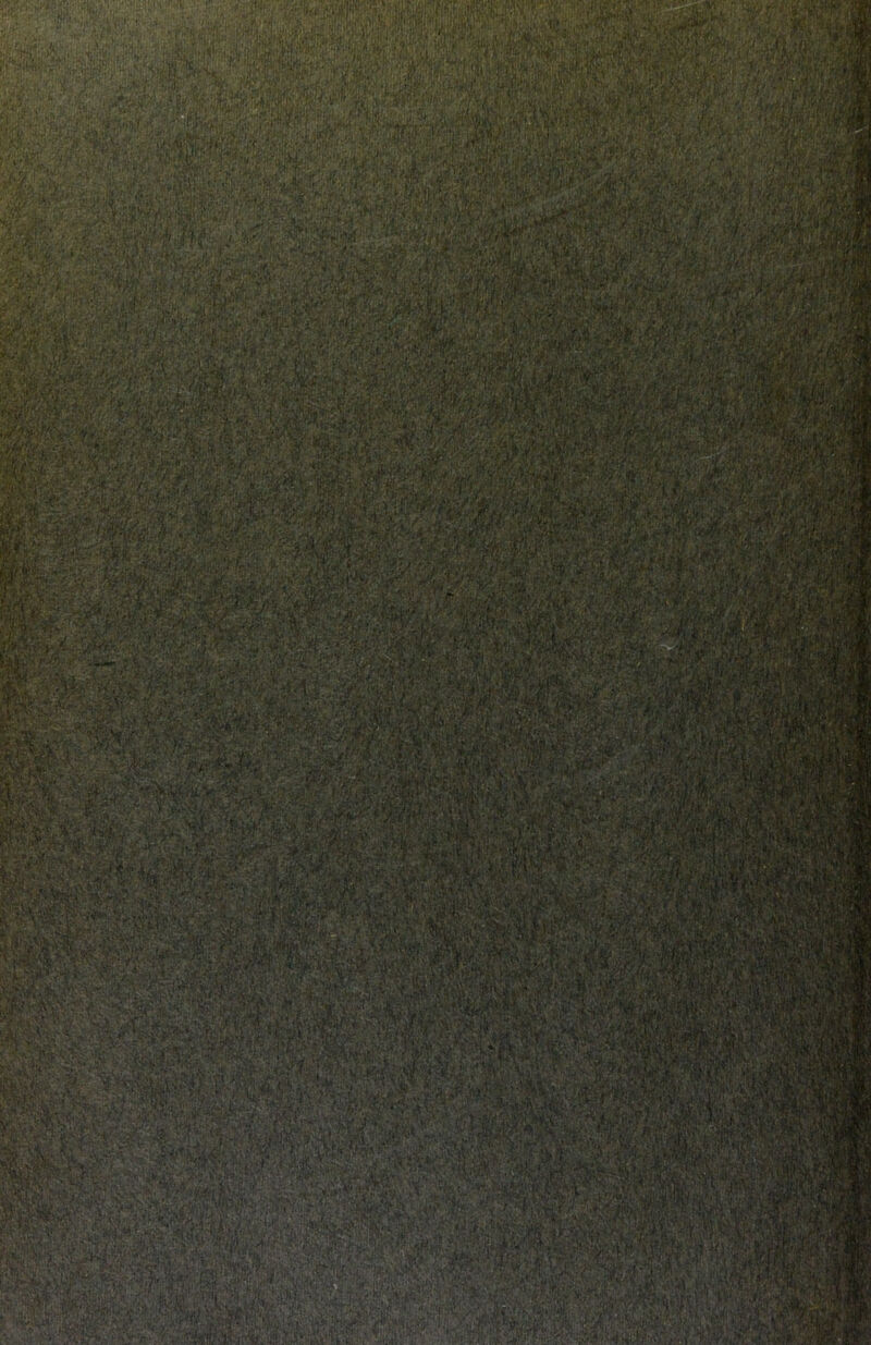 iSfSiffilllfflÄÄ» ■jt. ■ ’ -‘ .v- ■-';■■ r: ' ',v.^.' ^Hi,>,-•'■■.,• ,j-'i r