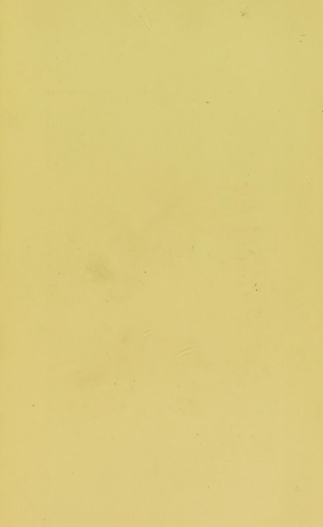 digitised image 3
