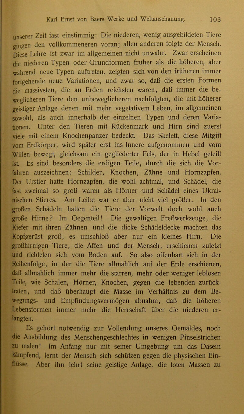 unserer Zeit fast einstimmig: Die niederen, wenig ausgebildeten Tiere gingen den vollkommeneren voran; allen anderen folgte der Mensch. Diese Lehre ist zwar im allgemeinen nicht unwahr. Zwar erscheinen die niederen Typen oder Grundformen früher als die höheren, aber während neue Typen auftreten, zeigten sich von den früheren immer fortgehende neue Variationen, und zwar so, daß die ersten Formen die massivsten, die an Erden reichsten waren, daß immer die be- weglicheren Tiere den unbeweglicheren nachfolgten, die mit höherer geistiger Anlage denen mit mehr vegetativem Leben, im allgemeinen sowohl, als auch innerhalb der einzelnen Typen und deren Varia- tionen. Unter den Tieren mit Rückenmark und Hirn sind zuerst viele mit einem Knochenpanzer bedeckt. Das Skelett, diese Mitgift vom Erdkörper, wird später erst ins Innere aufgenommen und vom Willen bewegt, gleichsam ein gegliederter Fels, der in Hebel geteilt ist. Es sind besonders die erdigen Teile, durch die sich die Vor- fahren auszeichnen: Schilder, Knochen, Zähne und Hornzapfen. Der Urstier hatte Hornzapfen, die wohl achtmal, und Schädel, die fast zweimal so groß waren als Hörner und Schädel eines Ukrai- nischen Stieres. Am Leibe war er aber nicht viel größer. In den großen Schädeln hatten die Tiere der Vorwelt doch wohl auch große Hirne? Im Gegenteil! Die gewaltigen FreßWerkzeuge, die Kiefer mit ihren Zähnen und die dicke Schädeldecke machten das Kopfgerüst groß, es umschloß aber nur ein kleines Hirn. Die großhirnigen Tiere, die Affen und der Mensch, erschienen zuletzt und richteten sich vom Boden auf. So also offenbart sich in der Reihenfolge, in der die Tiere allmählich auf der Erde erschienen, daß allmählich immer mehr die starren, mehr oder weniger leblosen Teile, wie Schalen, Hörner, Knochen, gegen die lebenden zurück- traten, und daß überhaupt die Masse im Verhältnis zu dem Be- wegungs- und Empfindungsvermögen abnahm, daß die höheren Lebensformen immer mehr die Herrschaft über die niederen er- langten. Es gehört notwendig zur Vollendung unseres Gemäldes, noch die Ausbildung des Menschengeschlechtes in wenigen Pinselstrichen zu malen! Im Anfang nur mit seiner Umgebung um das Dasein kämpfend, lernt der Mensch sich schützen gegen die physischen Ein- flüsse. Aber ihn lehrt seine geistige Anlage, die toten Massen zu