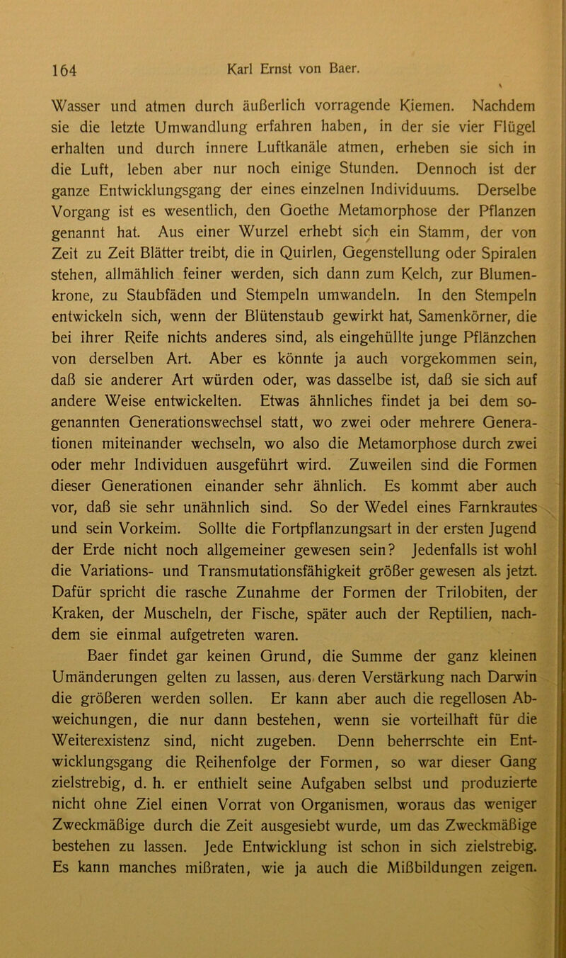 Wasser und atmen durch äußerlich vorragende Kiemen. Nachdem sie die letzte Umwandlung erfahren haben, in der sie vier Flügel erhalten und durch innere Luftkanäle atmen, erheben sie sich in die Luft, leben aber nur noch einige Stunden. Dennoch ist der ganze Entwicklungsgang der eines einzelnen Individuums. Derselbe Vorgang ist es wesentlich, den Goethe Metamorphose der Pflanzen genannt hat. Aus einer Wurzel erhebt sich ein Stamm, der von Zeit zu Zeit Blätter treibt, die in Quirlen, Gegenstellung oder Spiralen stehen, allmählich feiner werden, sich dann zum Kelch, zur Blumen- krone, zu Staubfäden und Stempeln umwandeln, ln den Stempeln entwickeln sich, wenn der Blütenstaub gewirkt hat, Samenkörner, die bei ihrer Reife nichts anderes sind, als eingehüllte junge Pflänzchen von derselben Art. Aber es könnte ja auch vorgekommen sein, daß sie anderer Art würden oder, was dasselbe ist, daß sie sich auf andere Weise entwickelten. Etwas ähnliches findet ja bei dem so- genannten Generationswechsel statt, wo zwei oder mehrere Genera- tionen miteinander wechseln, wo also die Metamorphose durch zwei oder mehr Individuen ausgeführt wird. Zuweilen sind die Formen dieser Generationen einander sehr ähnlich. Es kommt aber auch vor, daß sie sehr unähnlich sind. So der Wedel eines Farnkrautes und sein Vorkeim. Sollte die Fortpflanzungsart in der ersten Jugend der Erde nicht noch allgemeiner gewesen sein? Jedenfalls ist wohl die Variations- und Transmutationsfähigkeit größer gewesen als jetzt. Dafür spricht die rasche Zunahme der Formen der Trilobiten, der Kraken, der Muscheln, der Fische, später auch der Reptilien, nach- dem sie einmal aufgetreten waren. Baer findet gar keinen Grund, die Summe der ganz kleinen Umänderungen gelten zu lassen, aus deren Verstärkung nach Darwin die größeren werden sollen. Er kann aber auch die regellosen Ab- weichungen, die nur dann bestehen, wenn sie vorteilhaft für die Weiterexistenz sind, nicht zugeben. Denn beherrschte ein Ent- wicklungsgang die Reihenfolge der Formen, so war dieser Gang zielstrebig, d. h. er enthielt seine Aufgaben selbst und produzierte nicht ohne Ziel einen Vorrat von Organismen, woraus das weniger Zweckmäßige durch die Zeit ausgesiebt wurde, um das Zweckmäßige bestehen zu lassen. Jede Entwicklung ist schon in sich zielstrebig. Es kann manches mißraten, wie ja auch die Mißbildungen zeigen.