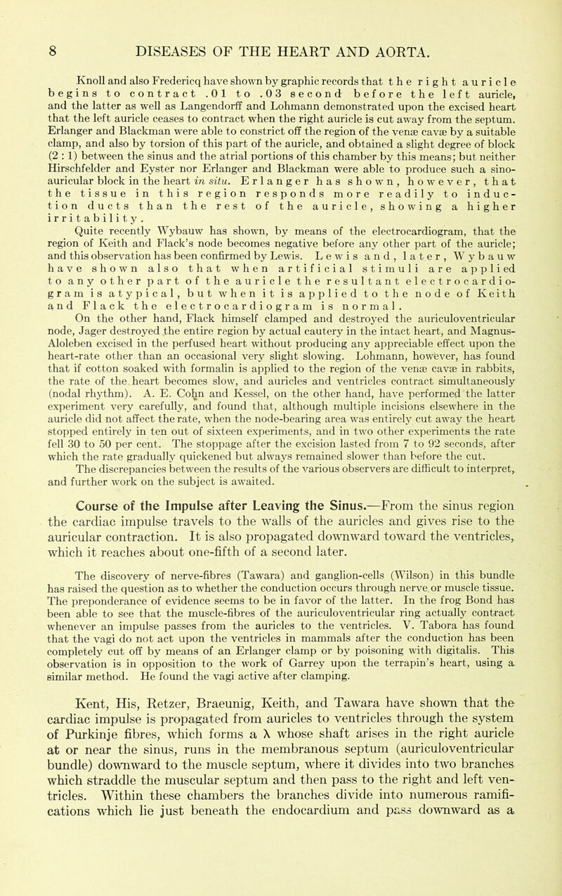 Knoll and also Fredericq have shown by graphic records that the right auricle begins to contract .01 to .03 second before the left auricle, and the latter as well as Langendorff and Lohmann demonstrated upon the excised heart that the left auricle ceases to contract when the right auricle is cut away from the septum. Erlanger and Blackman were able to constrict off the region of the venae cavae by a suitable clamp, and also by torsion of this part of the auricle, and obtained a slight degree of block (2:1) between the sinus and the atrial portions of this chamber by this means; but neither Hirschfelder and Eyster nor Erlanger and Blackman were able to produce such a sino- auricular block in the heart in situ. Erlanger has shown, however, that the tissue in this region responds more readily to induc- tion ducts than the rest of the auricle, showing a higher irritability. Quite recently Wybauw has shown, by means of the electrocardiogram, that the region of Keith and Flack’s node becomes negative before any other part of the auricle; and this observation has been confirmed by Lewis. Lewis and, later, Wybauw have shown also that when artificial stimuli are applied to any other part of the auricle the resultant electrocardio- gram is atypical, but when it is applied to the node of Keith and Flack the electrocardiogram is normal. On the other hand, Flack himself clamped and destroyed the auriculoventricular node, Jager destroyed the entire region by actual cautery in the intact heart, and Magnus- Aloleben excised in the perfused heart without producing any appreciable effect upon the heart-rate other than an occasional very slight slowing. Lohmann, however, has found that if cotton soaked with formalin is applied to the region of the vense cavse in rabbits, the rate of the heart becomes slow, and auricles and ventricles contract simultaneously (nodal rhythm). A. E. Cohn and Kessel, on the other hand, have performed the latter experiment very carefully, and found that, although multiple incisions elsewhere in the auricle did not affect the rate, when the node-bearing area w'as entirely cut away the heart stopped entirely in ten out of sixteen experiments, and in two other experiments the rate fell 30 to 50 per cent. The stoppage after the excision lasted from 7 to 92 seconds, after which the rate gradually quickened but always remained slower than before the cut. The discrepancies between the results of the various observers are difficult to interpret, and further work on the subject is awaited. Course of the Impulse after Leaving the Sinus.—From the sinus region the cardiac impulse travels to the walls of the auricles and gives rise to the auricular contraction. It is also propagated downward toward the ventricles, which it reaches about one-fifth of a second later. The discovery of nerve-fibres (Tawara) and ganglion-cells (Wilson) in this bundle has raised the question as to whether the conduction occurs through nerve or muscle tissue. The preponderance of evidence seems to be in favor of the latter. In the frog Bond has been able to see that the muscle-fibres of the auriculoventricular ring actually contract whenever an impulse passes from the auricles to the ventricles. V. Tabora has found that the vagi do not act upon the ventricles in mammals after the conduction has been completely cut off by means of an Erlanger clamp or by poisoning with digitalis. This observation is in opposition to the work of Garrey upon the terrapin’s heart, using a similar method. He found the vagi active after clamping. Kent, His, Retzer, Braeunig, Keith, and Tawara have shown that the cardiac impulse is propagated from auricles to ventricles through the system of Purkinje fibres, which forms a X whose shaft arises in the right auricle at or near the sinus, runs in the membranous septum (auriculoventricular bundle) downward to the muscle septum, where it divides into two branches which straddle the muscular septum and then pass to the right and left ven- tricles. Within these chambers the branches divide into numerous ramifi- cations which lie just beneath the endocardium and pass do\vnward as a